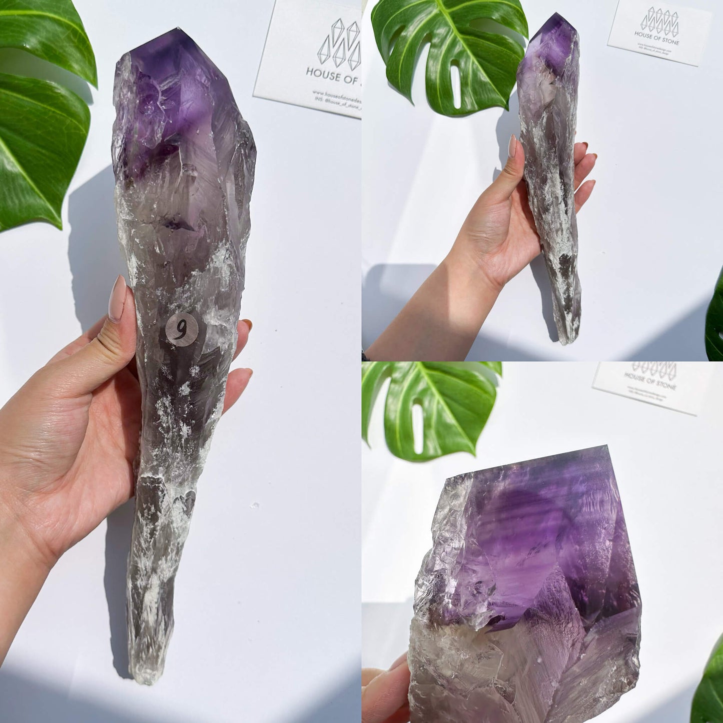 Natural Bahia Amethyst Point Wand/Large Raw Amethyst Dragon Tooth/Rare Amethyst Root/Natural Amethyst Root