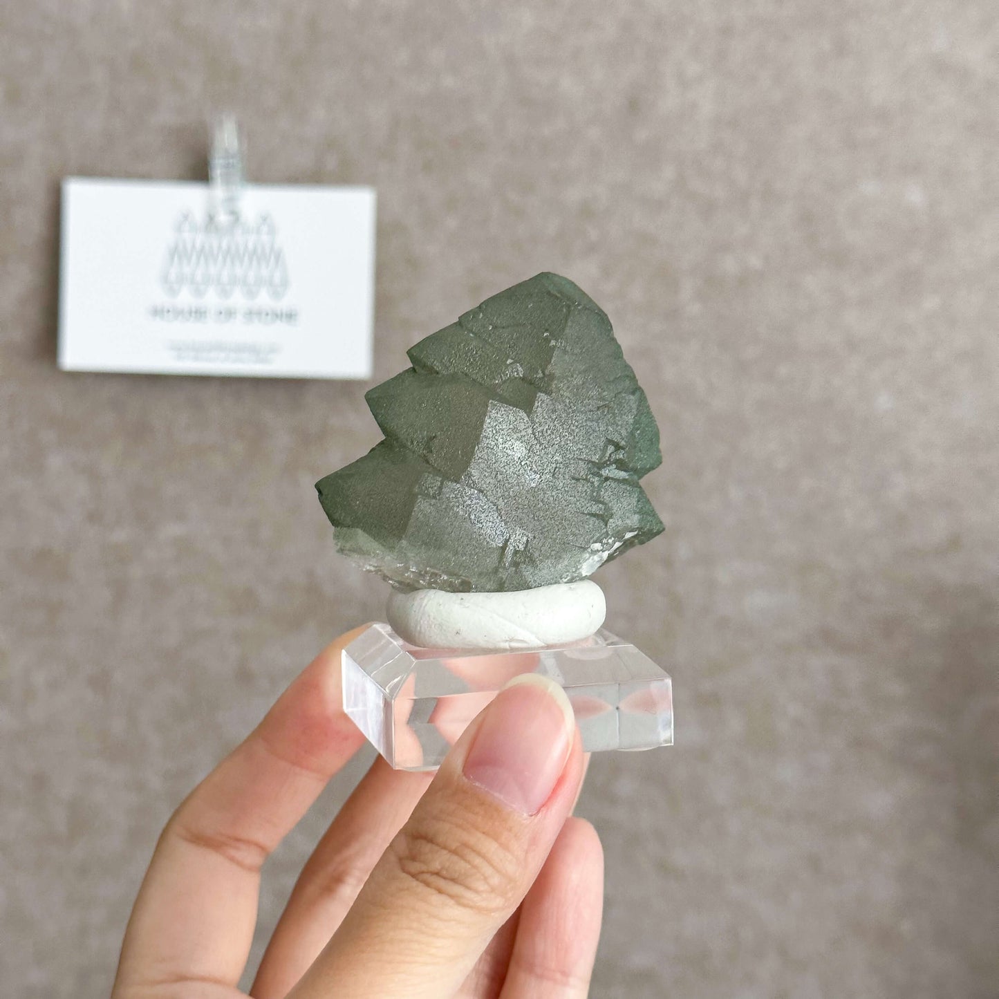 Alpine Mineral Gwindel Smoky Quartz Gwindel Specimen/Mont Blanc France Gwindel Apls2