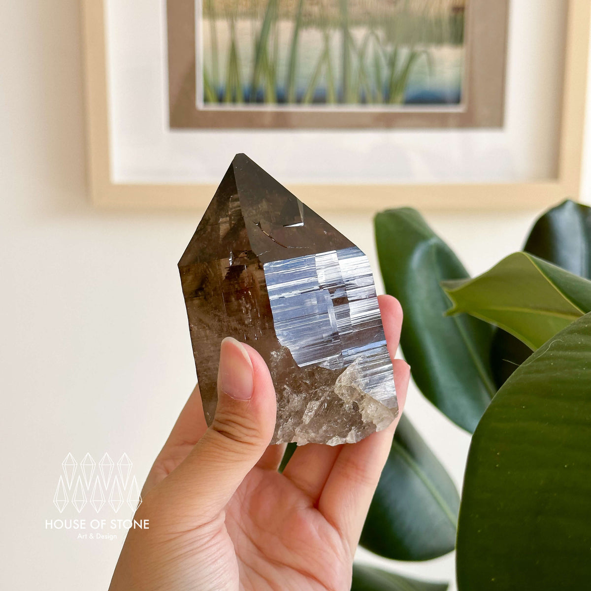 Alpine Mineral Large Smoky Quartz Point Specimen with Base/Mont Blanc France Tower Apls with Stand