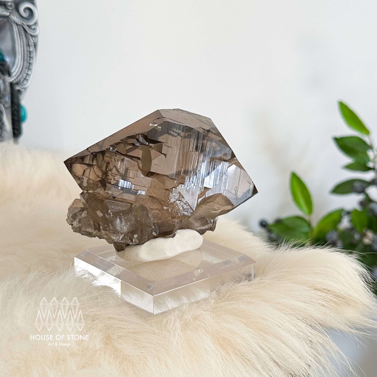 Alpine Mineral Swiss Gwindel Smoky Quartz Specimen/Switzerland Gwindel Apls8