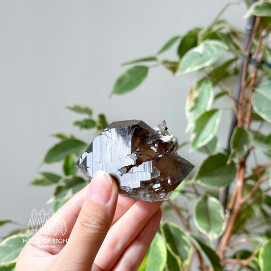 Alpine Mineral Swiss Gwindel Smoky Quartz Specimen/Switzerland Gwindel Apls4