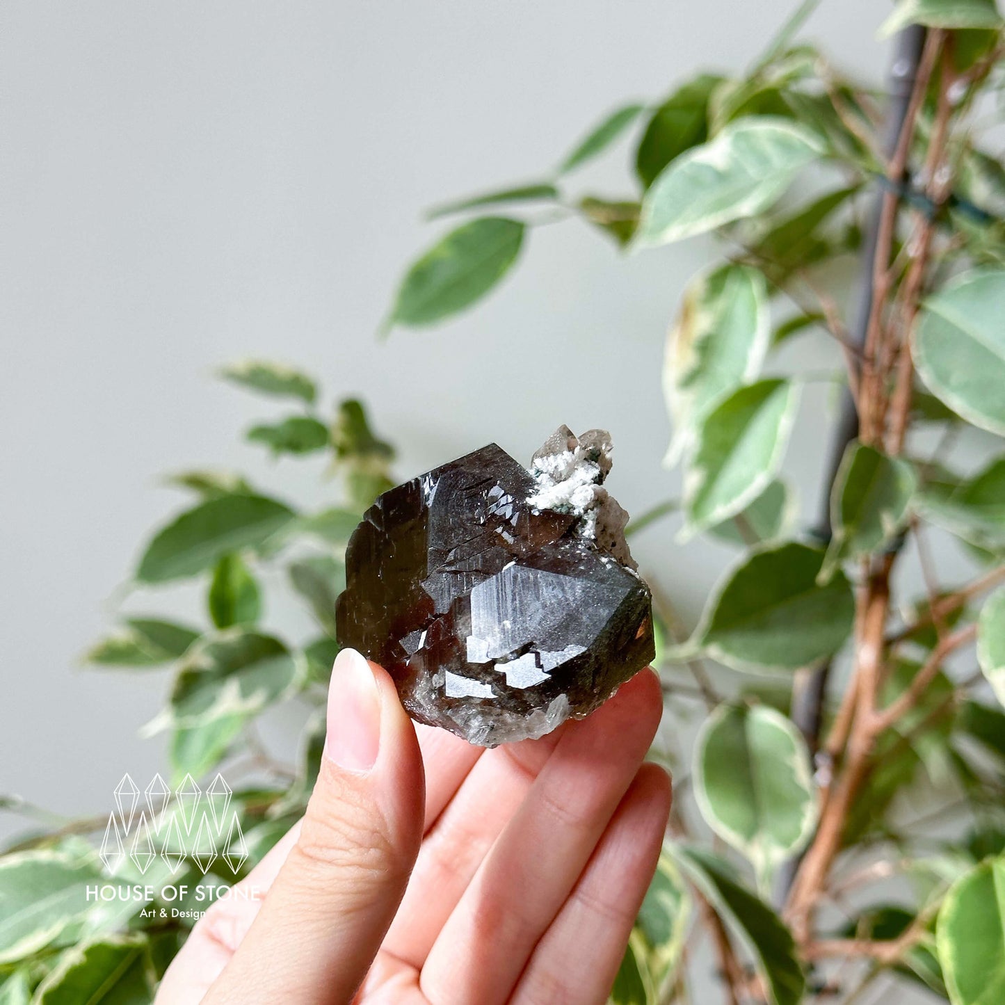 Alpine Mineral Swiss Gwindel Smoky Quartz Specimen/Switzerland Gwindel Apls4