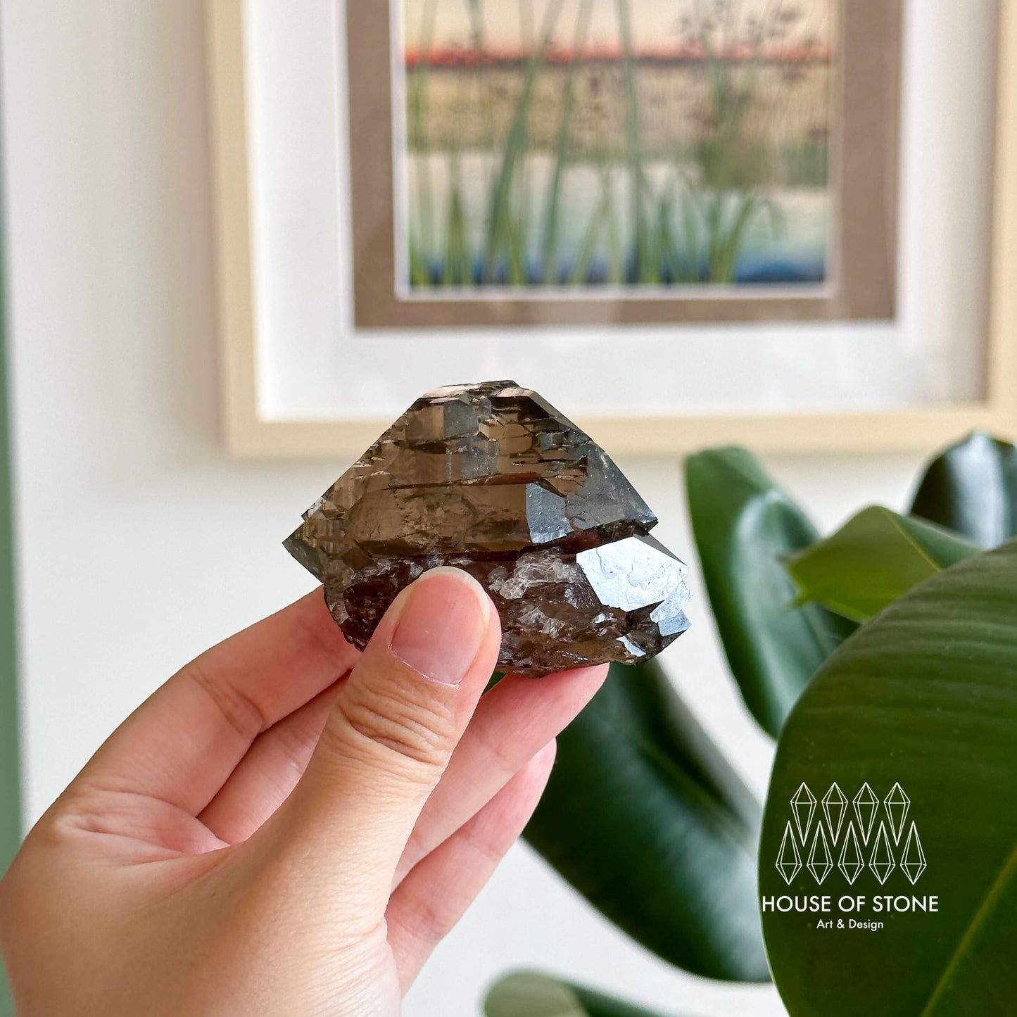 Alpine Mineral Swiss Gwindel Smoky Quartz Specimen/Switzerland Gwindel Apls7