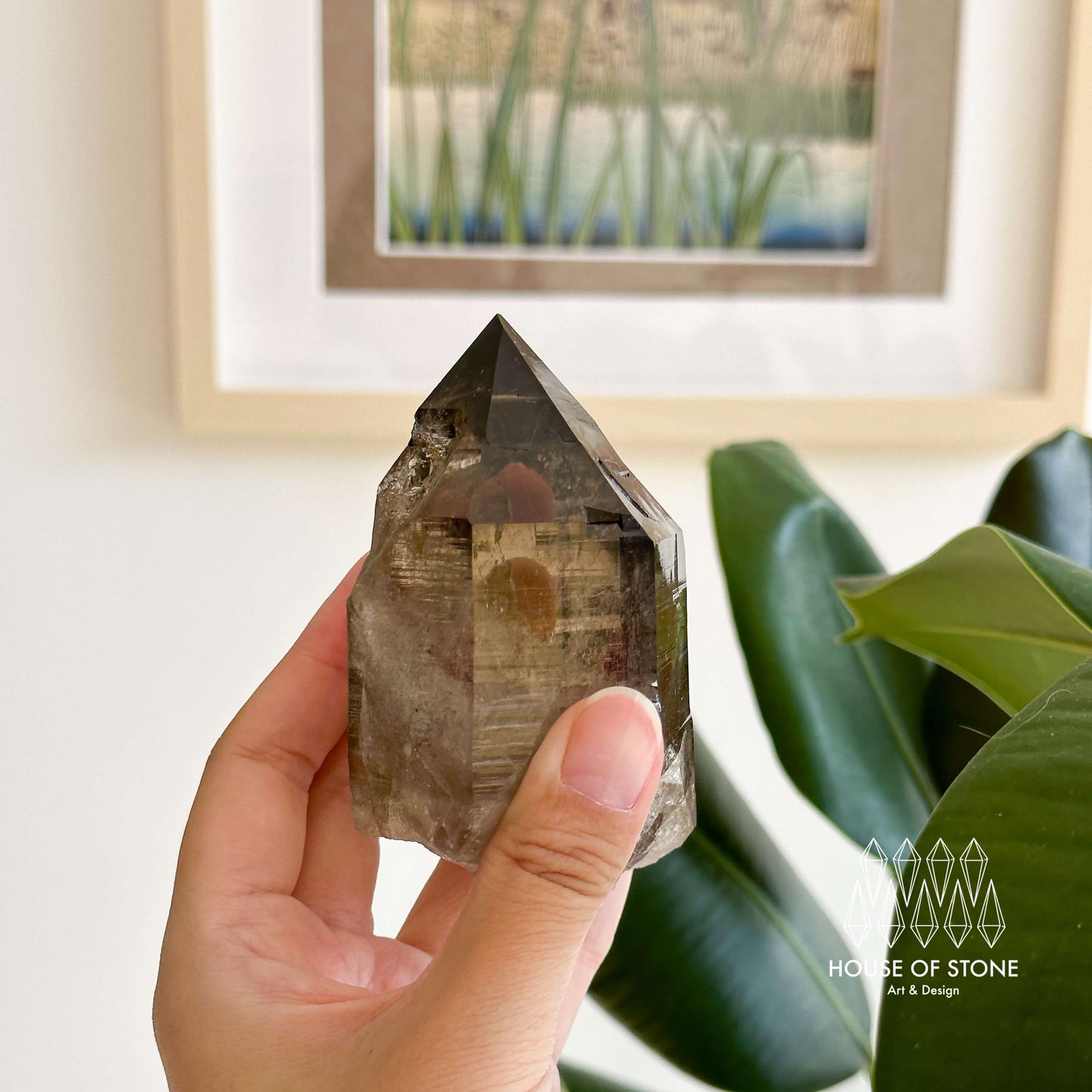 Alpine Mineral Large Smoky Quartz Point Specimen/Mont Blanc France Tower Apls