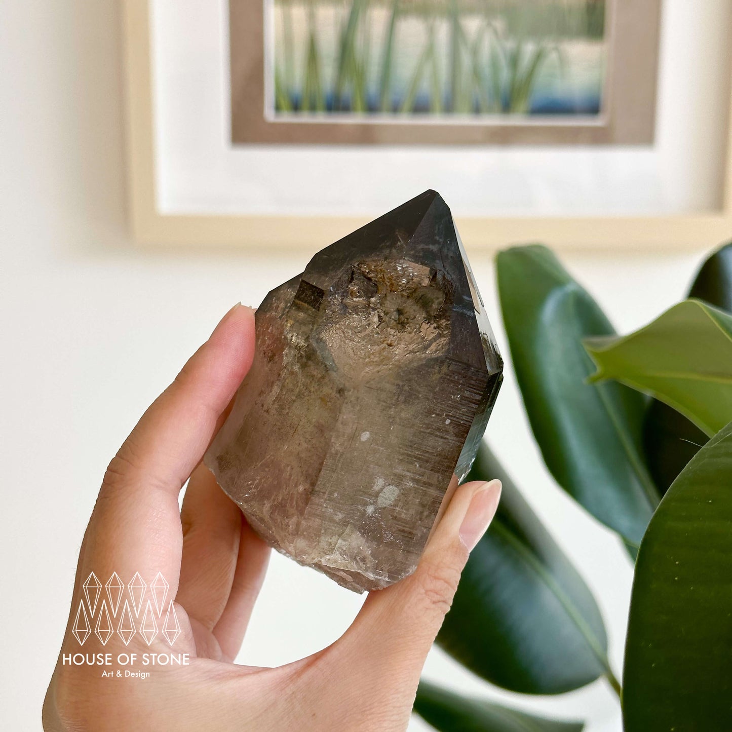 Alpine Mineral Large Smoky Quartz Point Specimen/Mont Blanc France Tower Apls