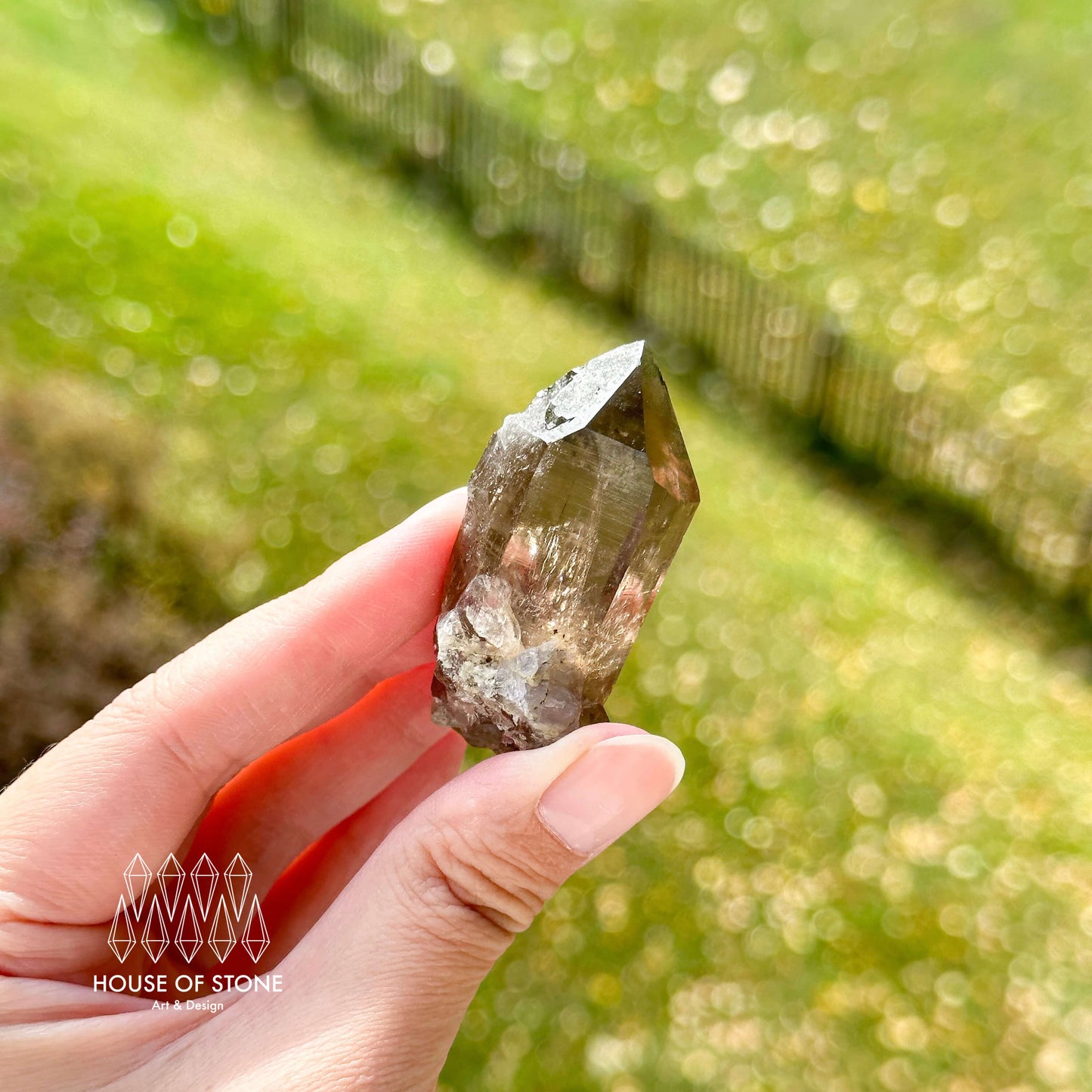 Alpine Mineral Smoky Quartz Point Specimen/Swiss Tower Apls/Double Terminated Quartz Points