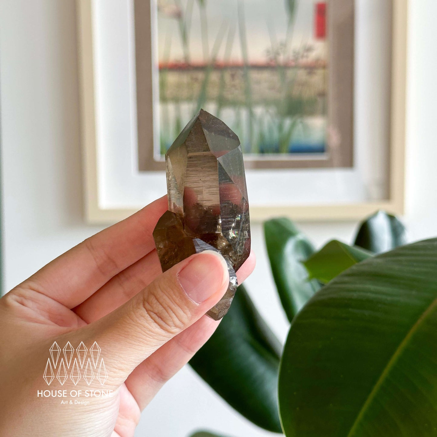 Alpine Mineral Smoky Quartz Point Specimen/Swiss Tower Apls/Double Terminated Quartz Points2