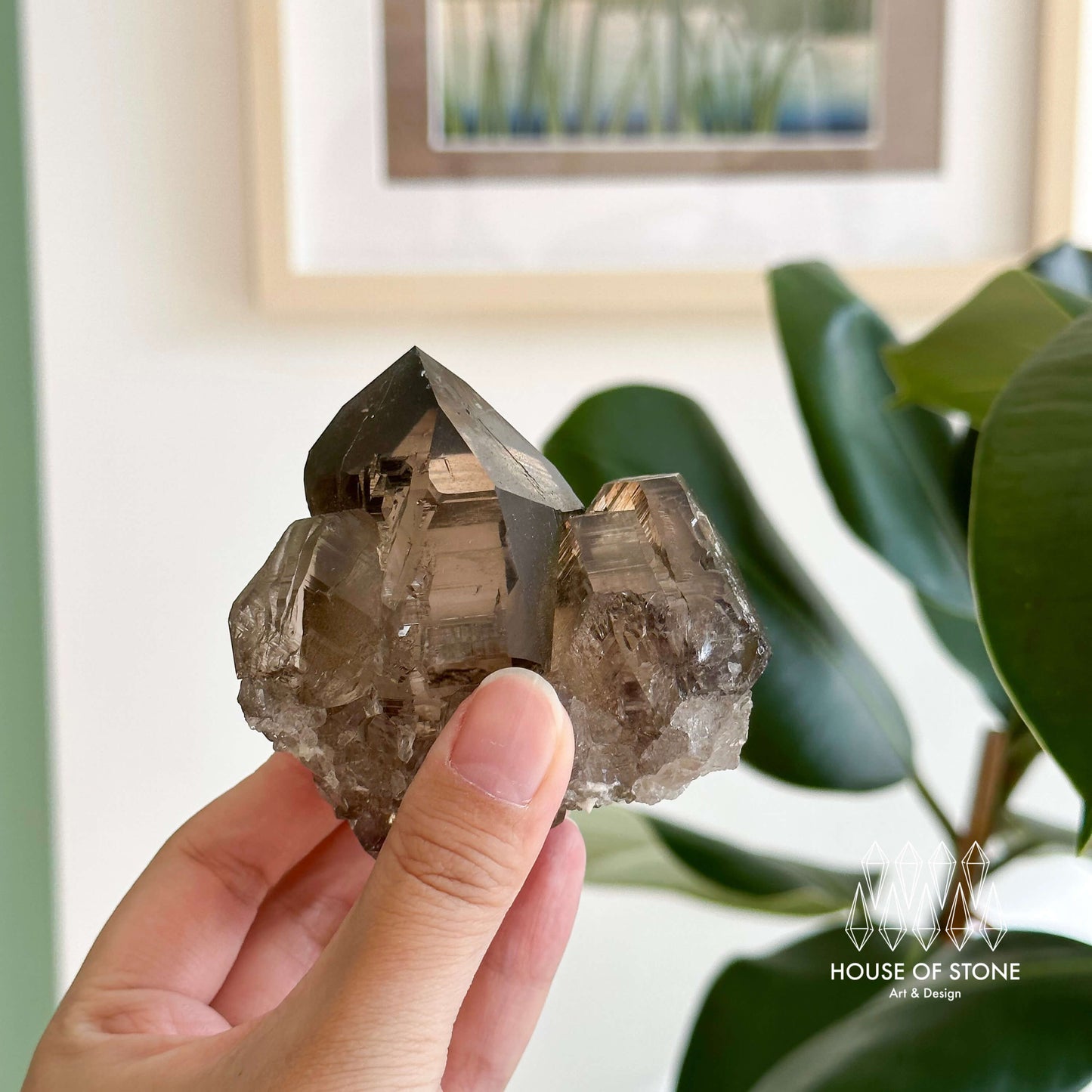 Alpine Mineral Smoky Quartz Point Cluster Specimen/Swiss Cluster Apls/Double Terminated Quartz Cluster2