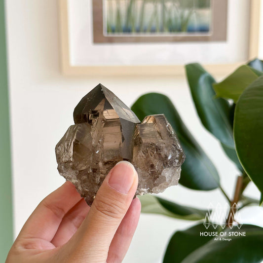 Alpine Mineral Smoky Quartz Point Cluster Specimen/Swiss Cluster Apls/Double Terminated Quartz Cluster2