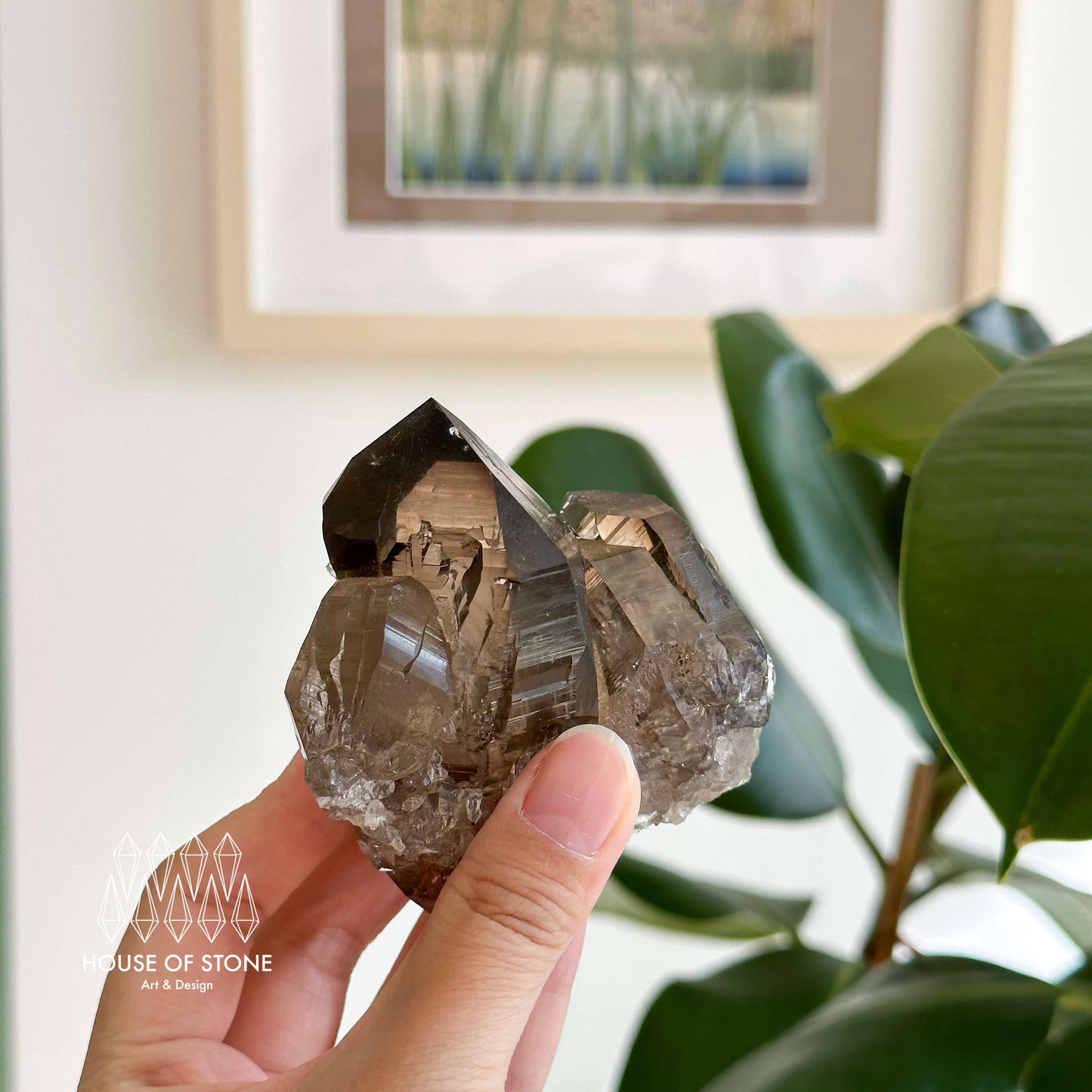 Alpine Mineral Smoky Quartz Point Cluster Specimen/Swiss Cluster Apls/Double Terminated Quartz Cluster2