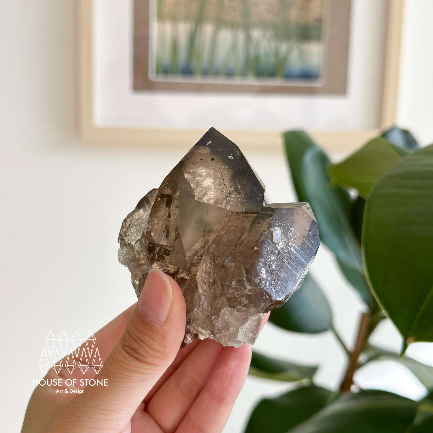 Alpine Mineral Smoky Quartz Point Cluster Specimen/Swiss Cluster Apls/Double Terminated Quartz Cluster2