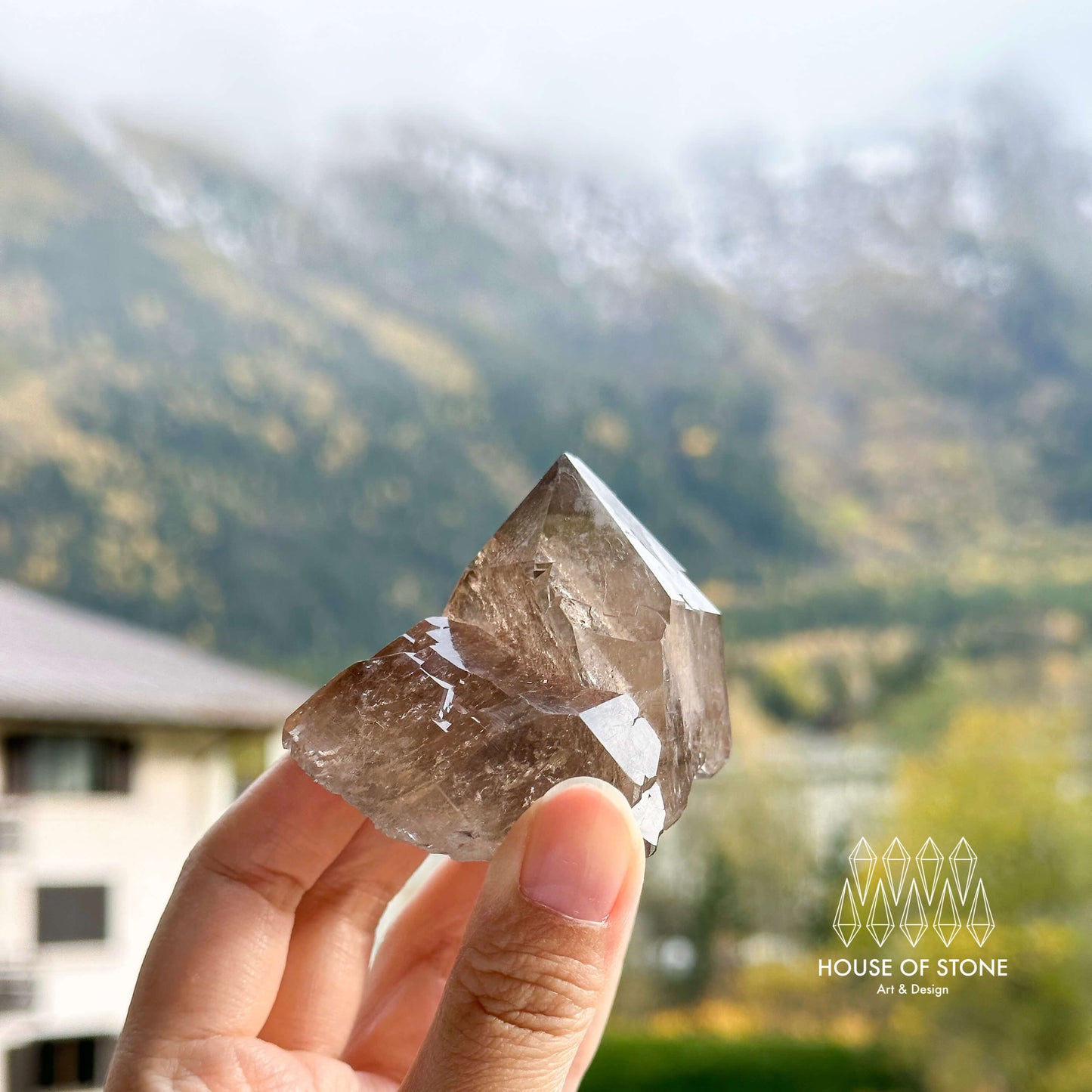 Alpine Mineral Smoky Quartz Floater Point Cluster Specimen/Swiss Cluster Apls/Double Terminated Quartz Cluster4