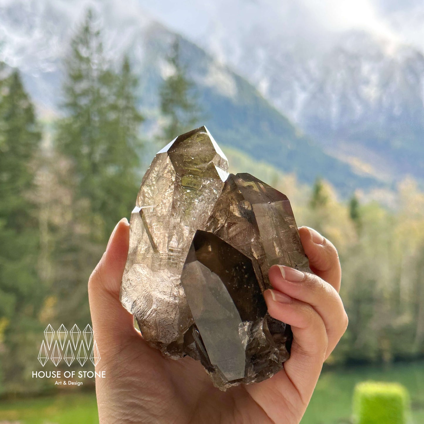 Alpine Mineral Smoky Quartz Point Cluster Specimen/Swiss Cluster Apls/Double Terminated Quartz Cluster