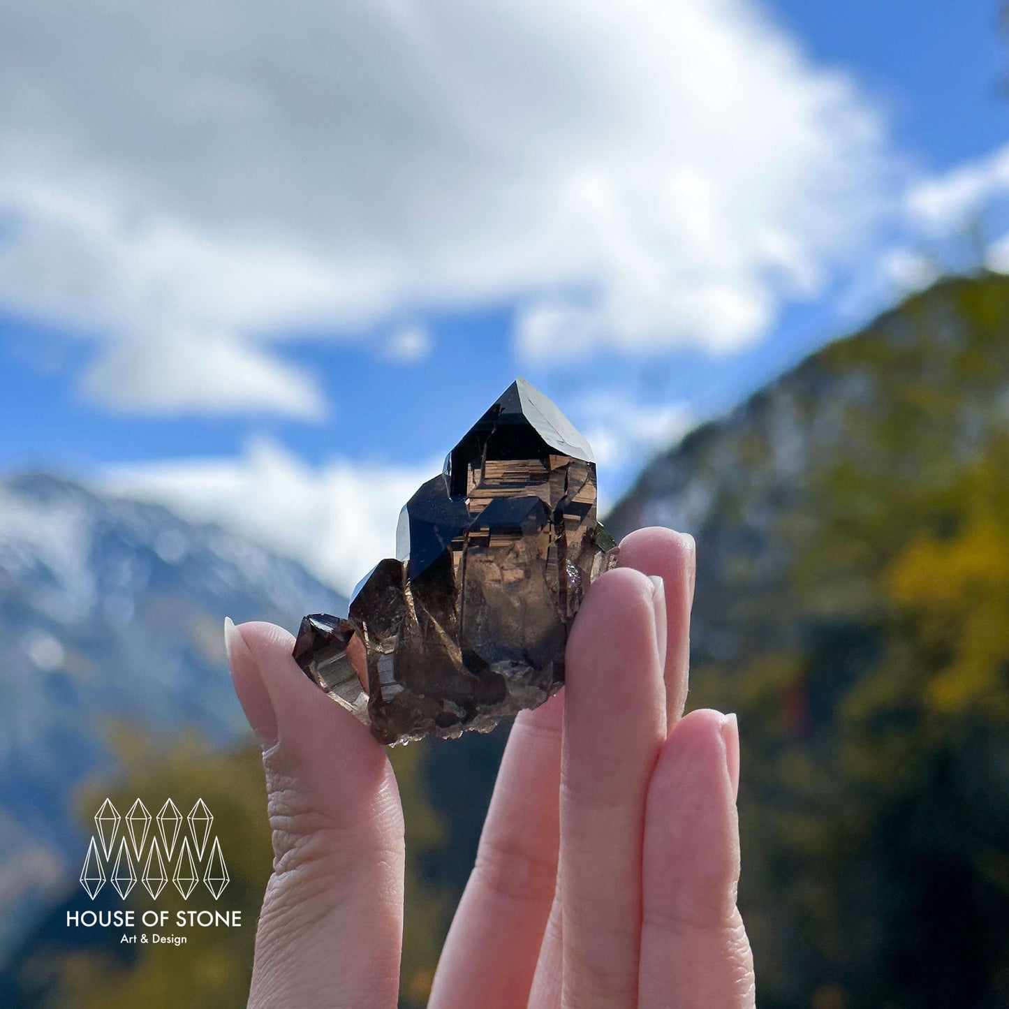 Alpine Mineral Morion Smoky Quartz Point Cluster Specimen/Small Swiss Cluster Apls/Double Terminated Quartz Cluster4