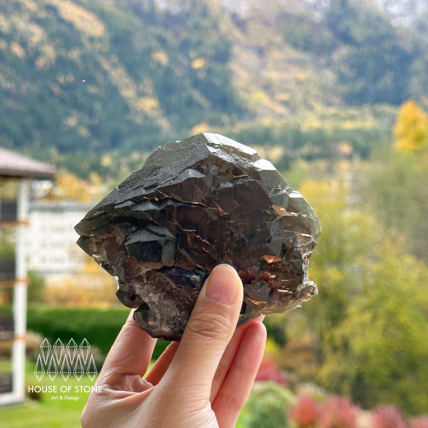 Alpine Mineral Large Swiss Gwindel Morion Smoky Quartz Specimen/Switzerland Gwindel Apls