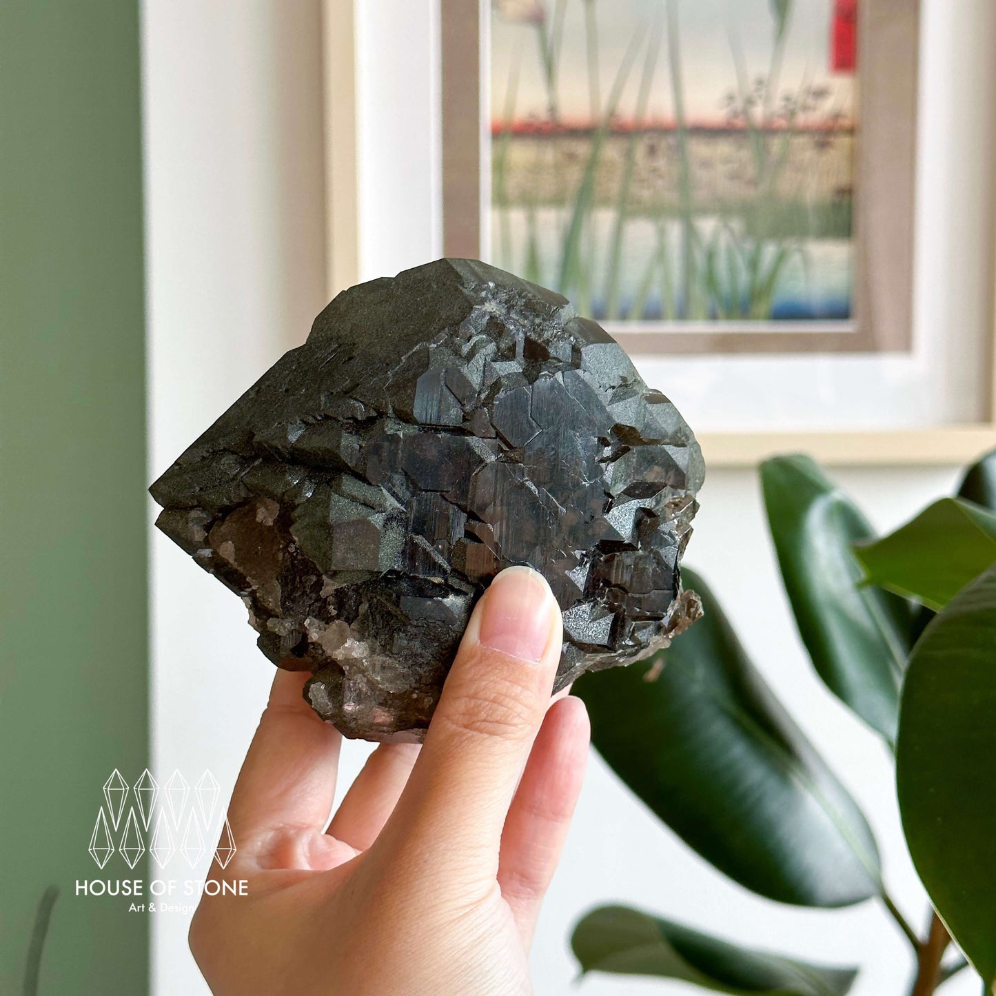 Alpine Mineral Large Swiss Gwindel Morion Smoky Quartz Specimen/Switzerland Gwindel Apls