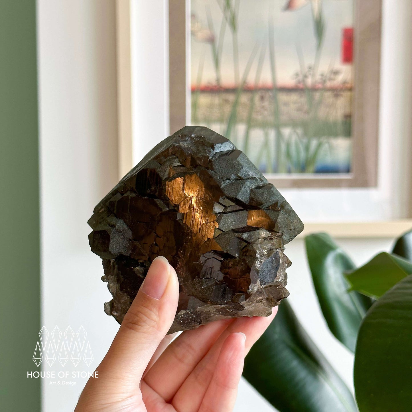 Alpine Mineral Large Swiss Gwindel Morion Smoky Quartz Specimen/Switzerland Gwindel Apls