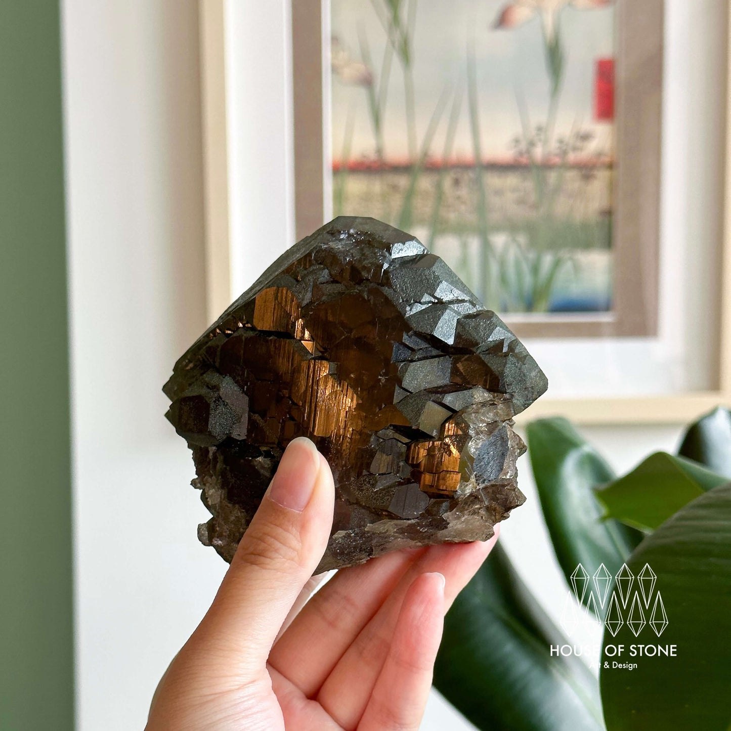 Alpine Mineral Large Swiss Gwindel Morion Smoky Quartz Specimen/Switzerland Gwindel Apls