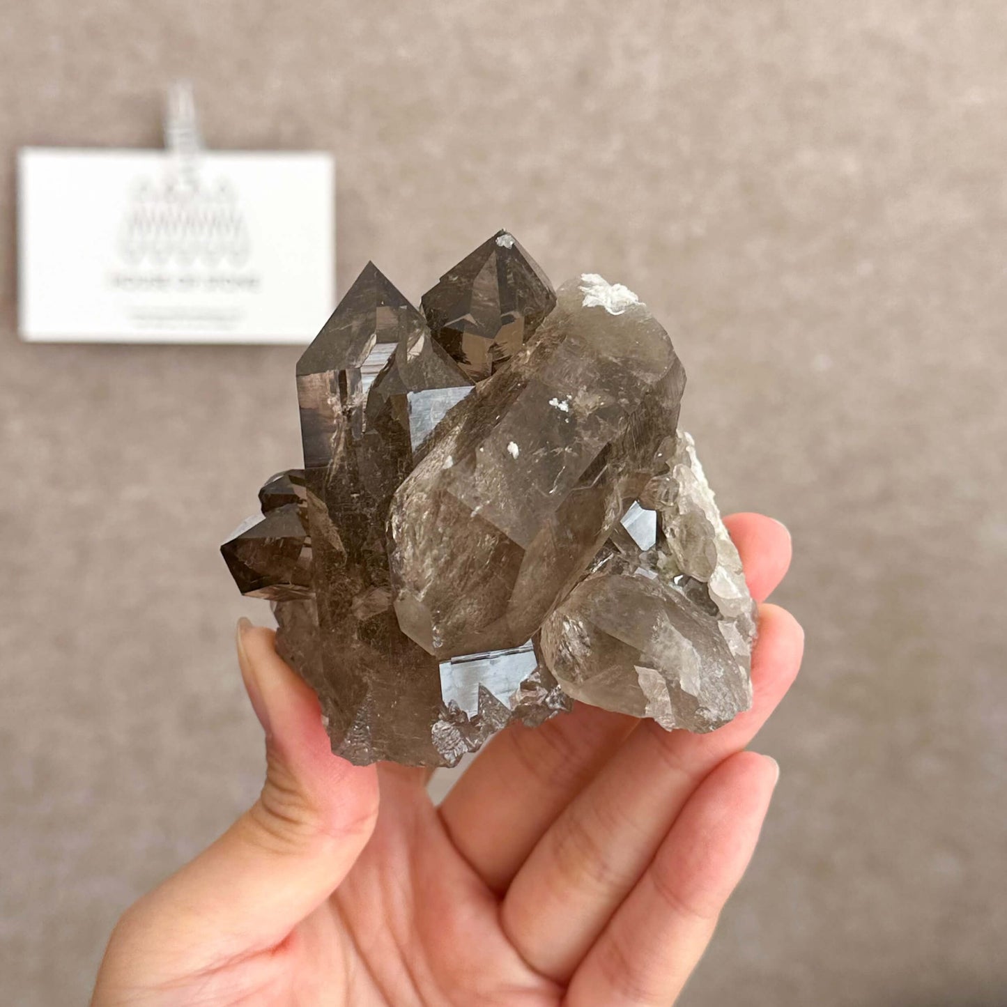 Swiss Smoky Quartz Cluster with Matrix Specimen/Switzerland Smoky Quartz Cluster Apls Specimen/Alpine Mineral/Crystal Cluster with Matrix3