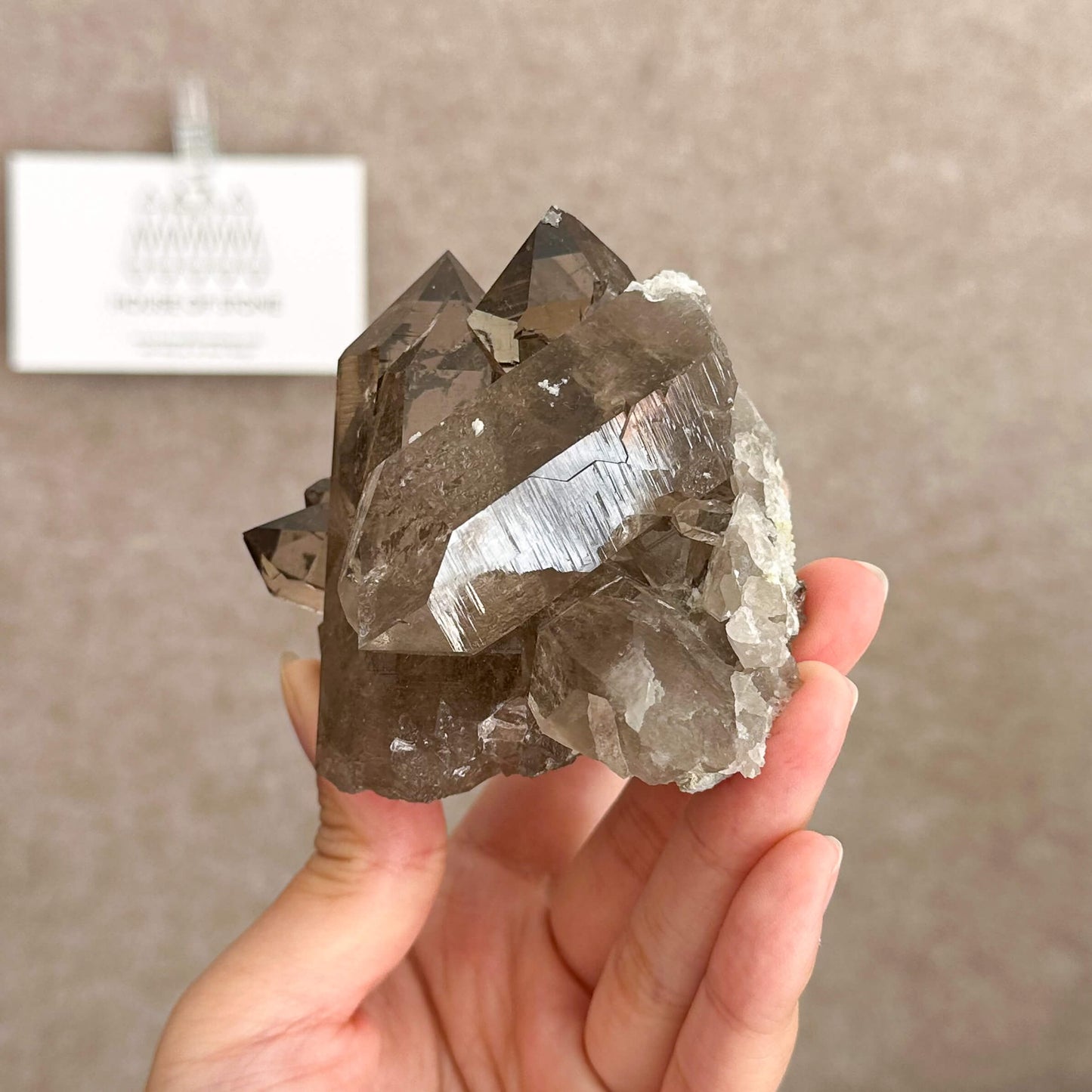 Swiss Smoky Quartz Cluster with Matrix Specimen/Switzerland Smoky Quartz Cluster Apls Specimen/Alpine Mineral/Crystal Cluster with Matrix3