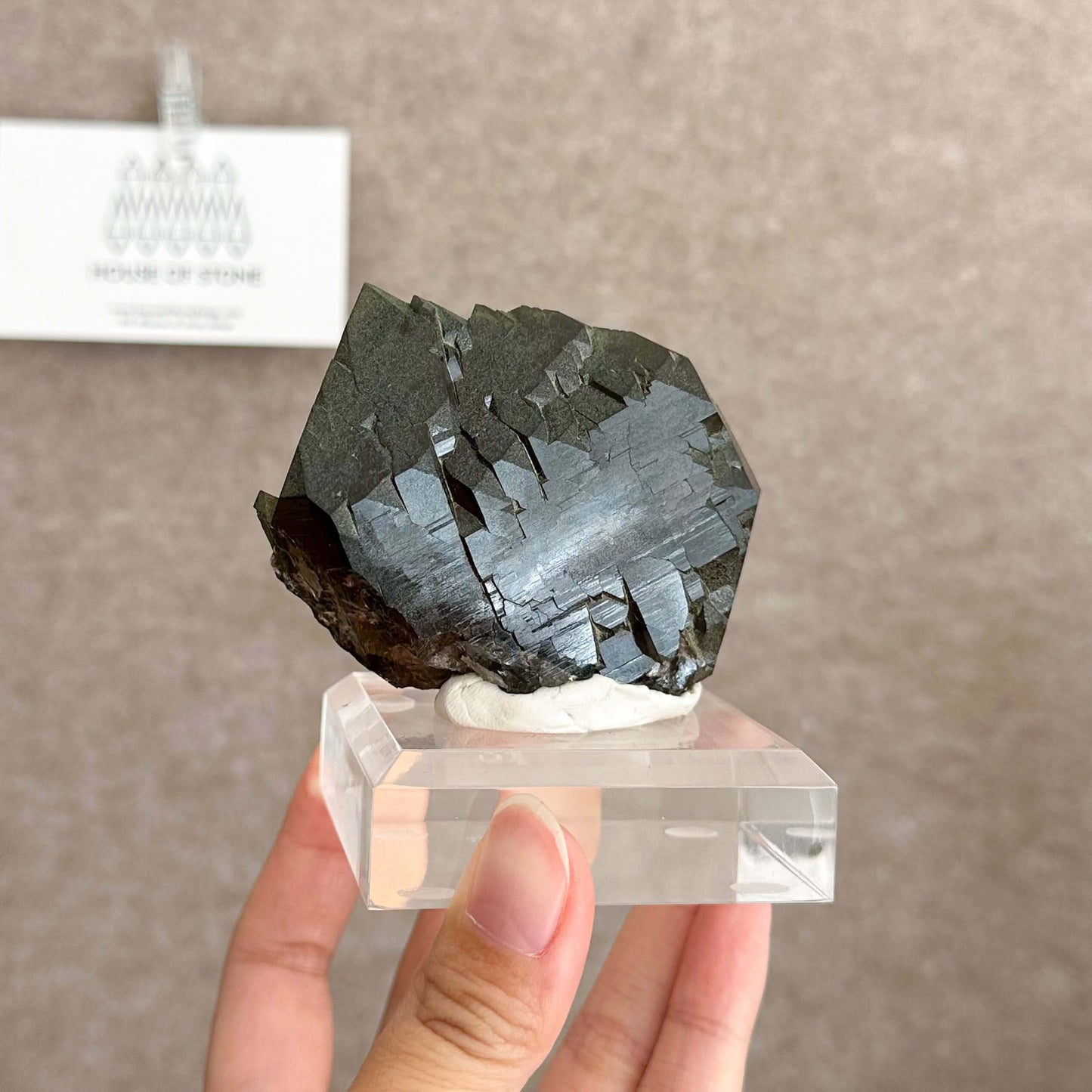 Alpine Mineral Swiss Gwindel Morion Smoky Quartz Specimen/Switzerland Gwindel Apls with Chlorite