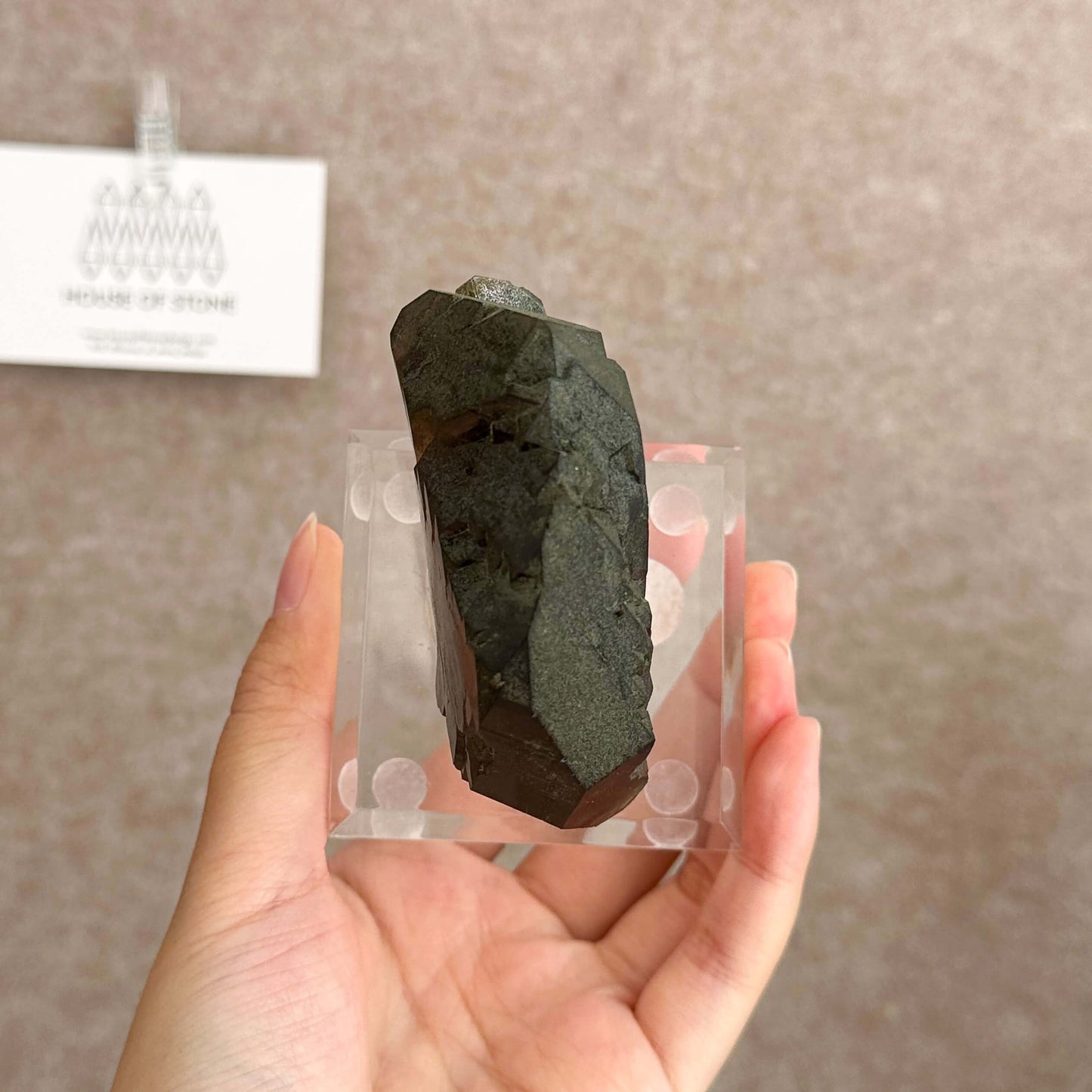 Alpine Mineral Swiss Gwindel Morion Smoky Quartz Specimen/Switzerland Gwindel Apls with Chlorite