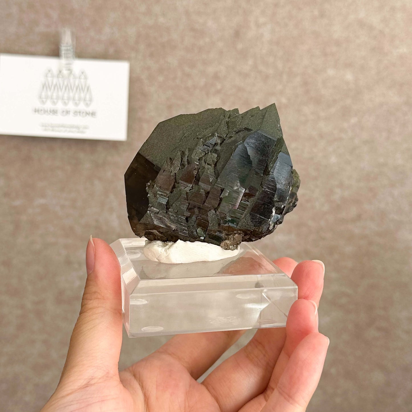 Alpine Mineral Swiss Gwindel Morion Smoky Quartz Specimen/Switzerland Gwindel Apls with Chlorite