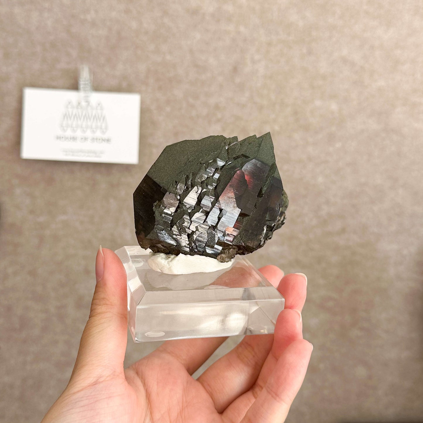 Alpine Mineral Swiss Gwindel Morion Smoky Quartz Specimen/Switzerland Gwindel Apls with Chlorite