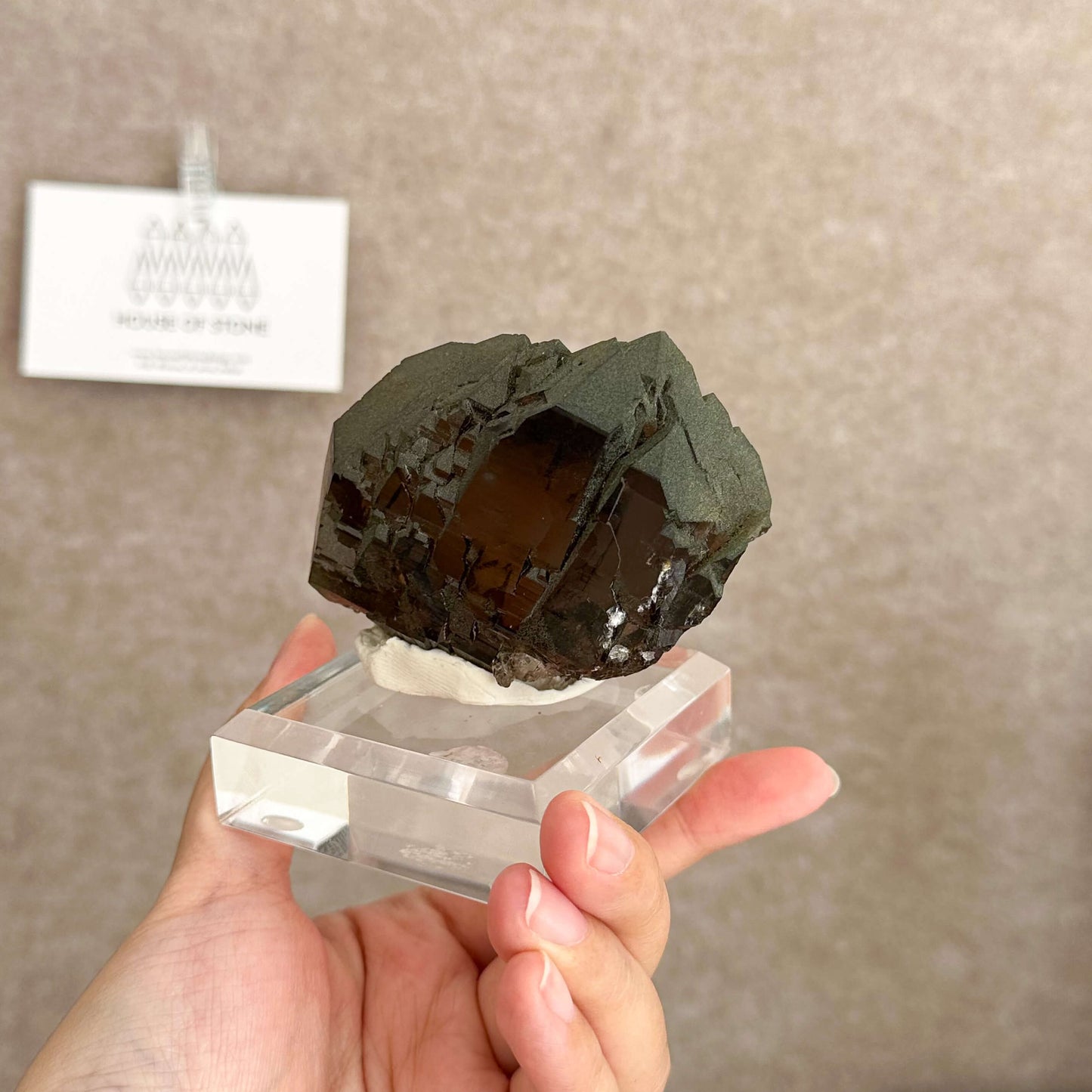 Alpine Mineral Swiss Gwindel Morion Smoky Quartz Specimen/Switzerland Gwindel Apls with Chlorite