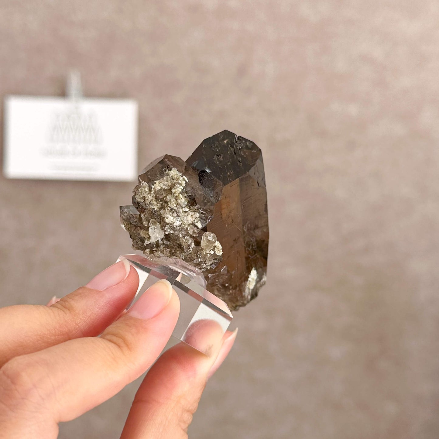 Alpine Mineral Swiss Sugar Gwindel Smoky Quartz Specimen/Switzerland Gwindel Apls