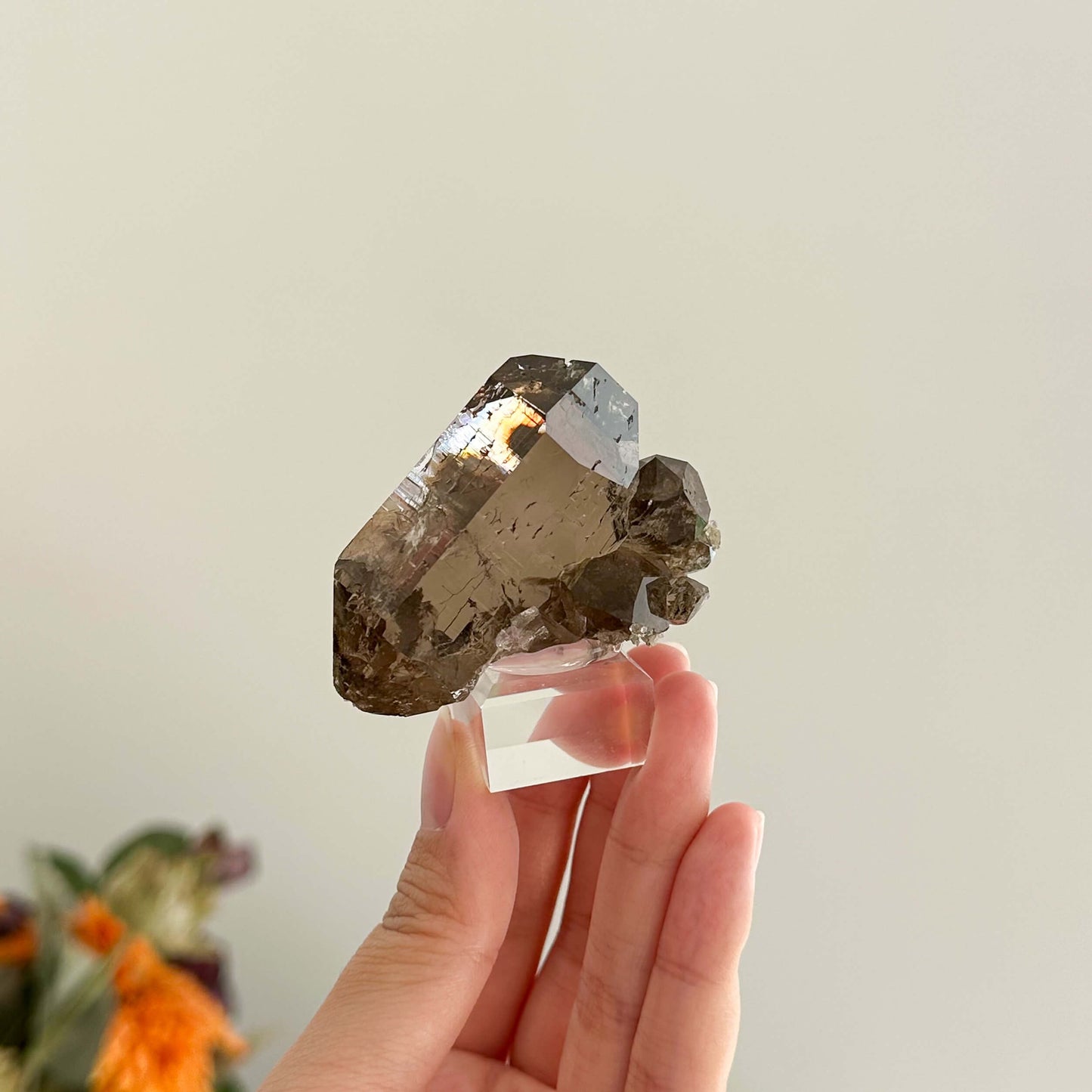 Alpine Mineral Swiss Sugar Gwindel Smoky Quartz Specimen/Switzerland Gwindel Apls