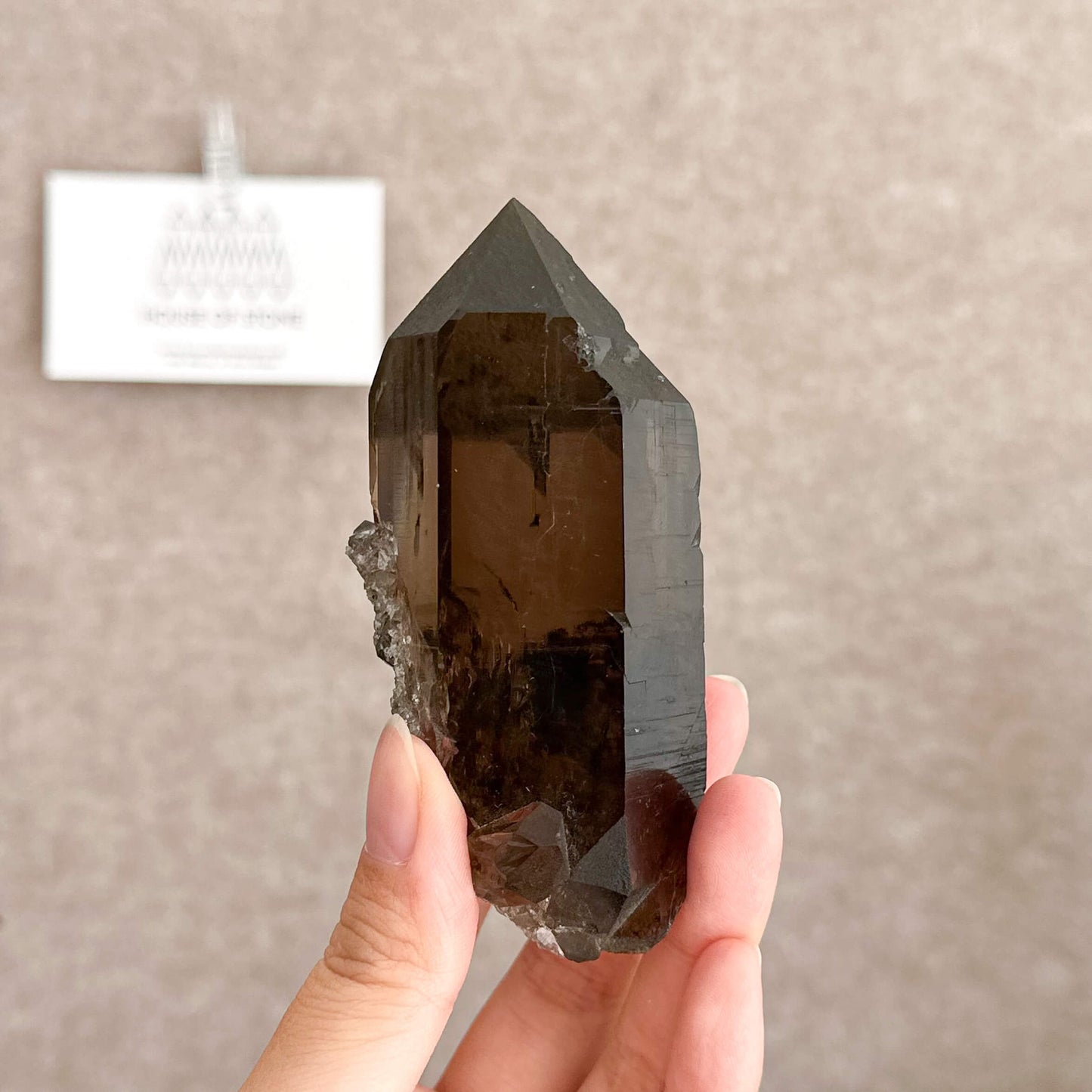 Alpine Mineral Smoky Quartz Point Specimen/Swiss Tower Apls/Double Terminated Quartz Points with Chlorite