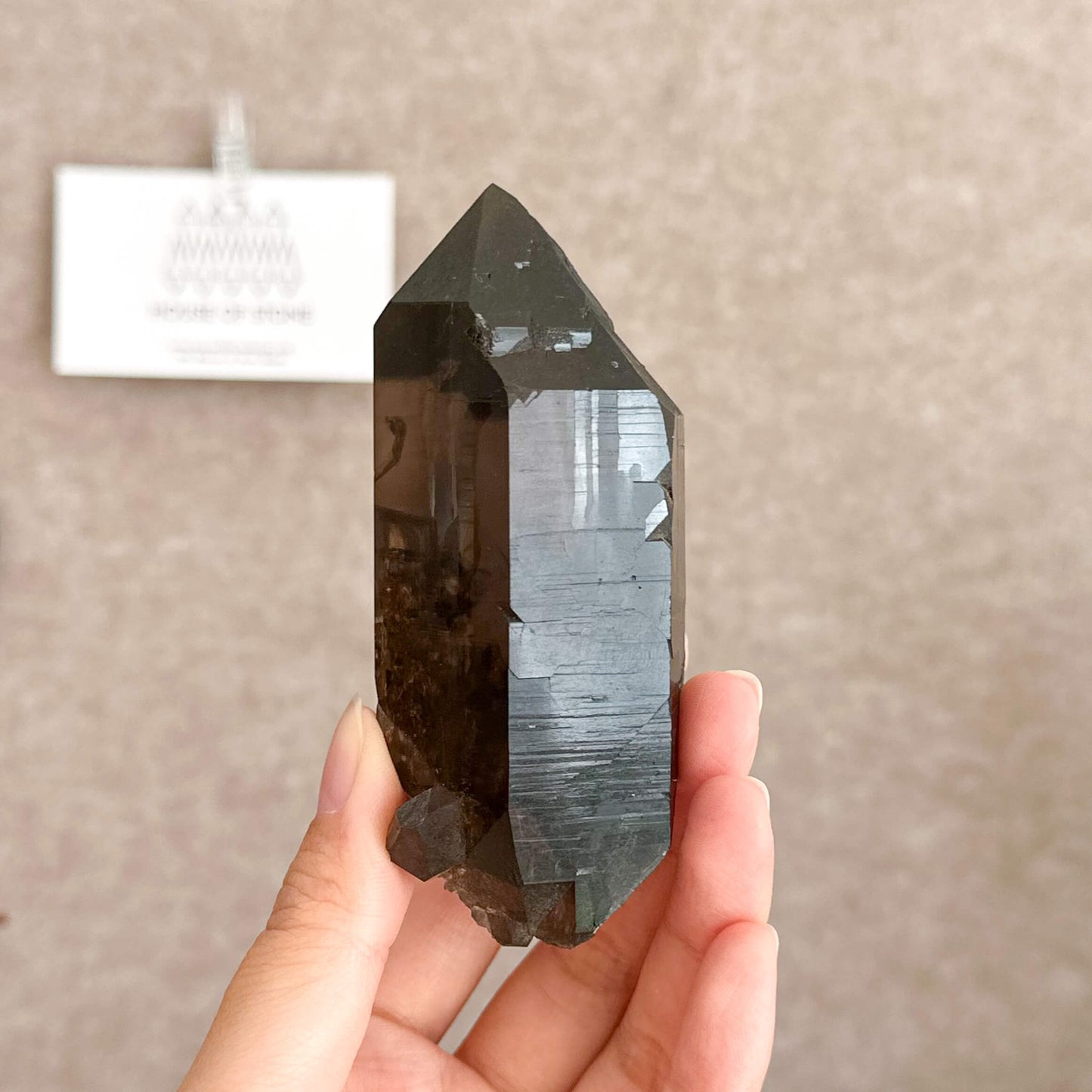 Alpine Mineral Smoky Quartz Point Specimen/Swiss Tower Apls/Double Terminated Quartz Points with Chlorite