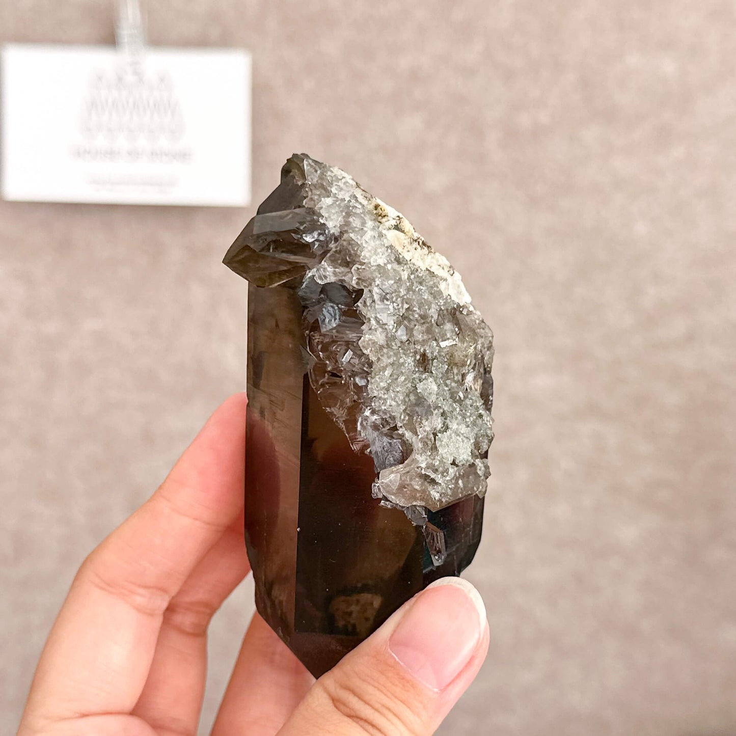 Alpine Mineral Smoky Quartz Point Specimen/Swiss Tower Apls/Double Terminated Quartz Points with Chlorite