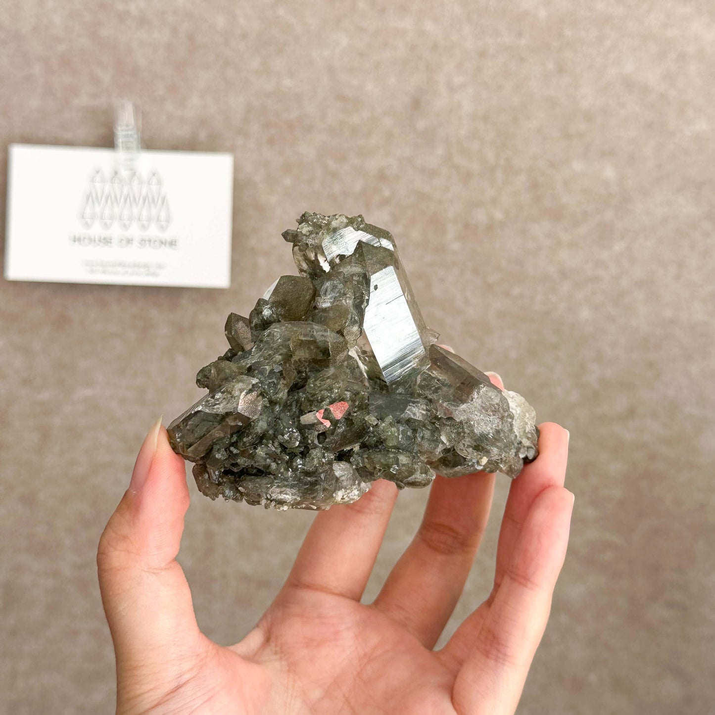 Alpine Mineral Smoky Quartz Cluster Specimen/Chamonix-Mont-Blanc France Cluster/Apls Crystal Cluster