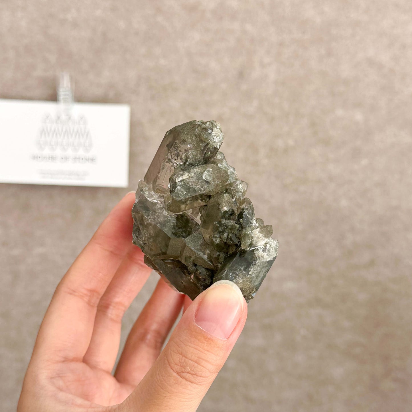 Alpine Mineral Smoky Quartz Cluster Specimen/Chamonix-Mont-Blanc France Cluster/Apls Crystal Cluster