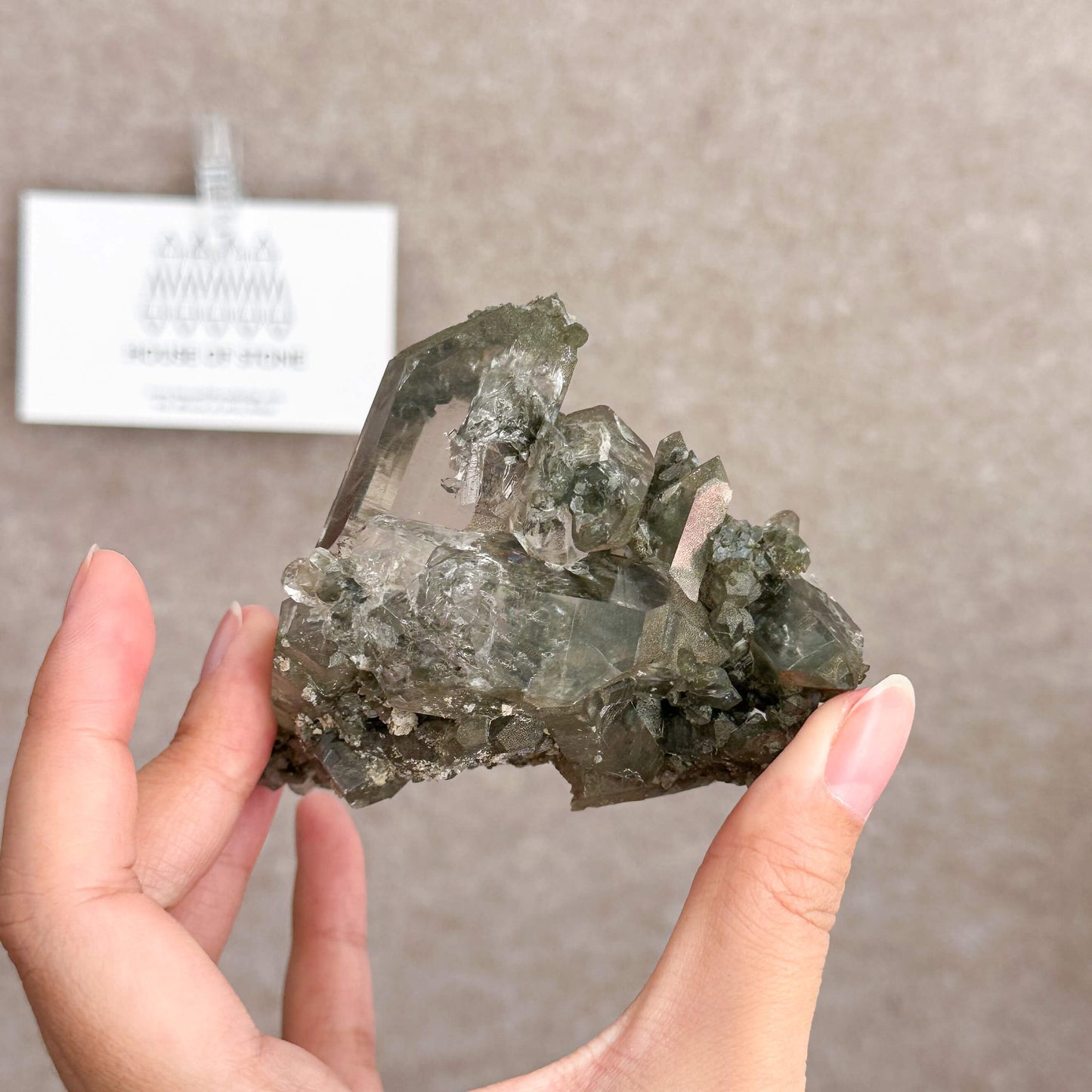 Alpine Mineral Smoky Quartz Cluster Specimen/Chamonix-Mont-Blanc France Cluster/Apls Crystal Cluster