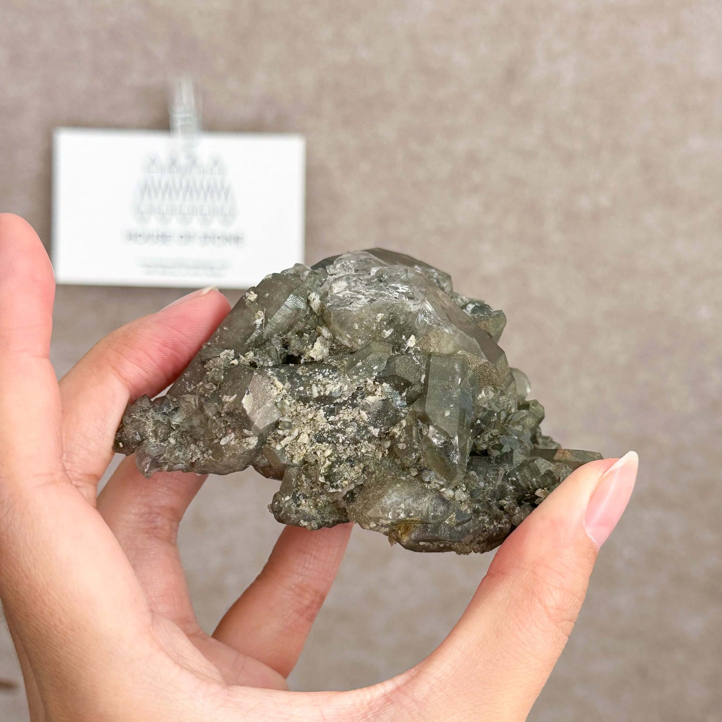 Alpine Mineral Smoky Quartz Cluster Specimen/Chamonix-Mont-Blanc France Cluster/Apls Crystal Cluster