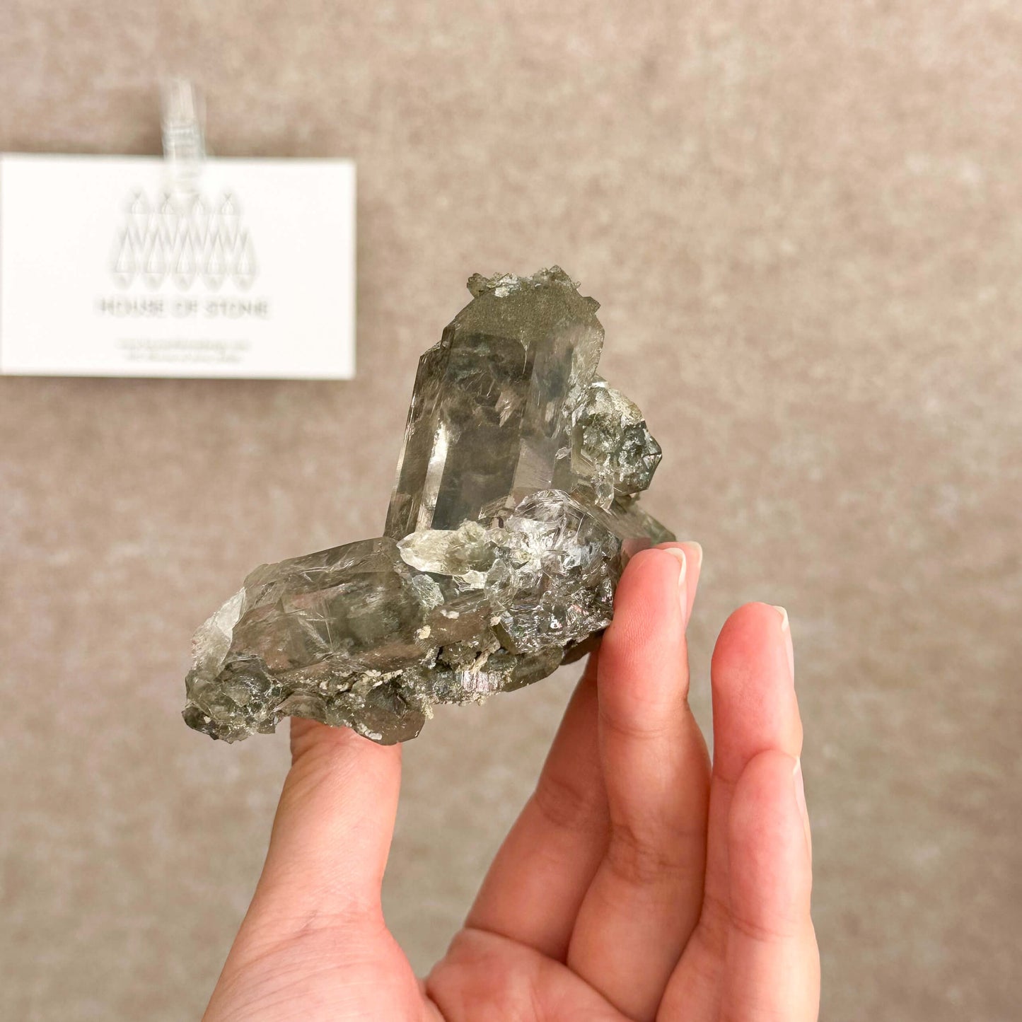 Alpine Mineral Smoky Quartz Cluster Specimen/Chamonix-Mont-Blanc France Cluster/Apls Crystal Cluster