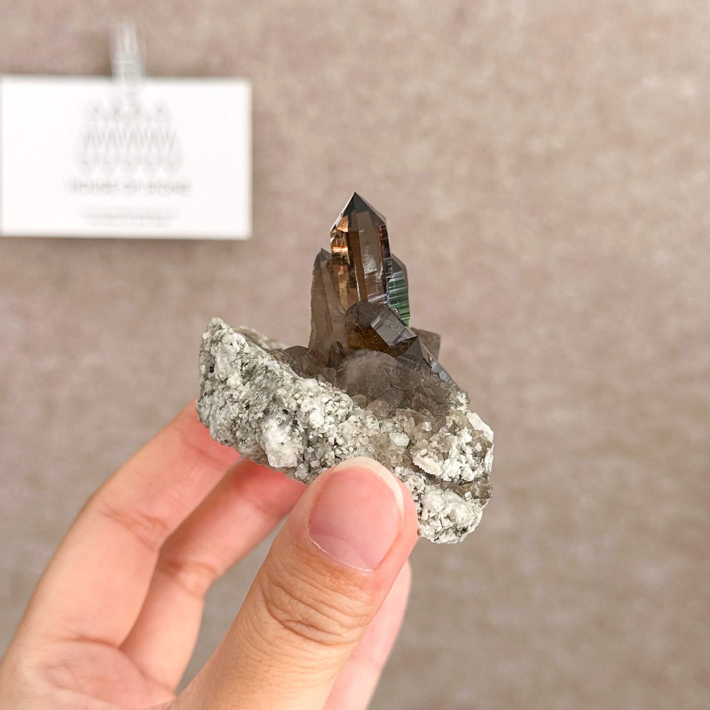 Swiss Smoky Quartz Cluster with Matrix Specimen/Switzerland Smoky Quartz Cluster Apls Specimen/Alpine Mineral/Crystal Cluster with Matrix