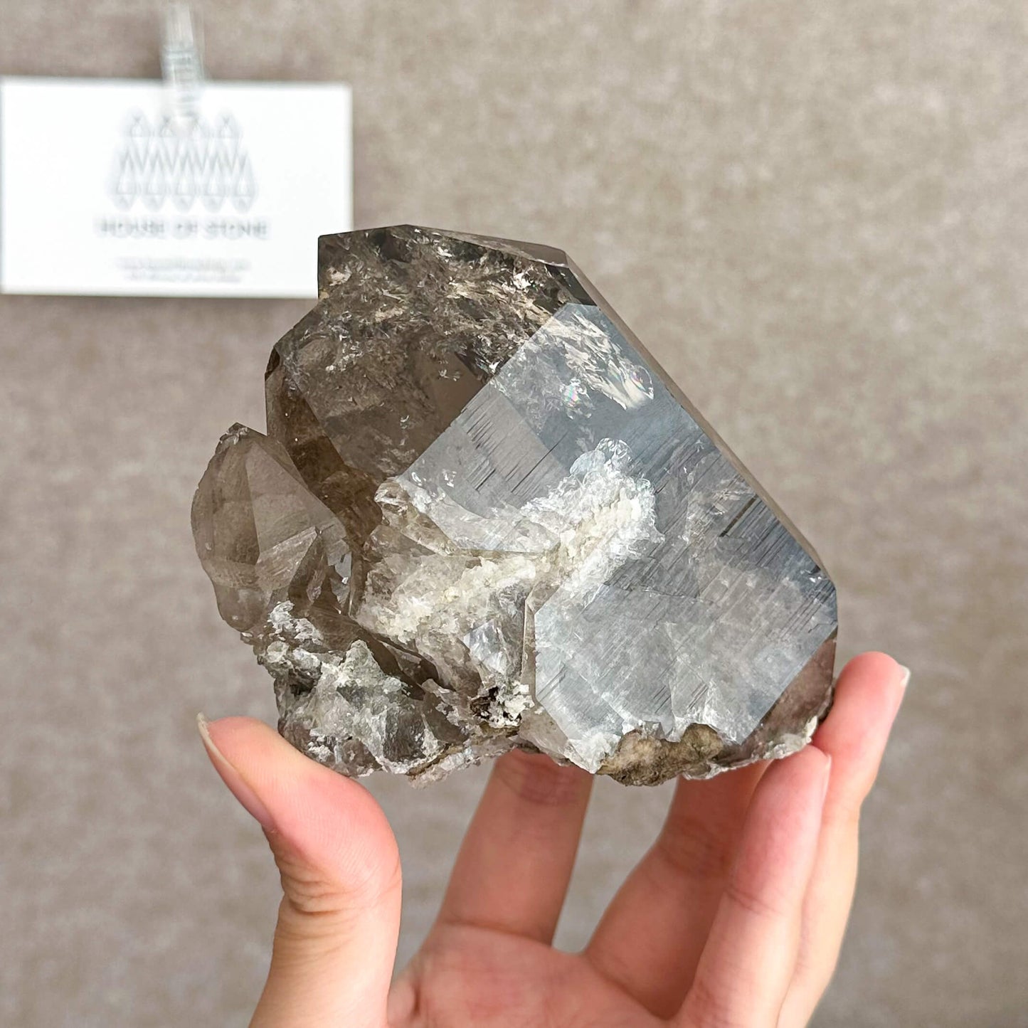 Apls Faden Quartz Specimen/Alpine Mineral Smoky Quartz/Adularia Quartz Chlorite Cluster/Chamonix-Mont-Blanc Mini Cluster/France