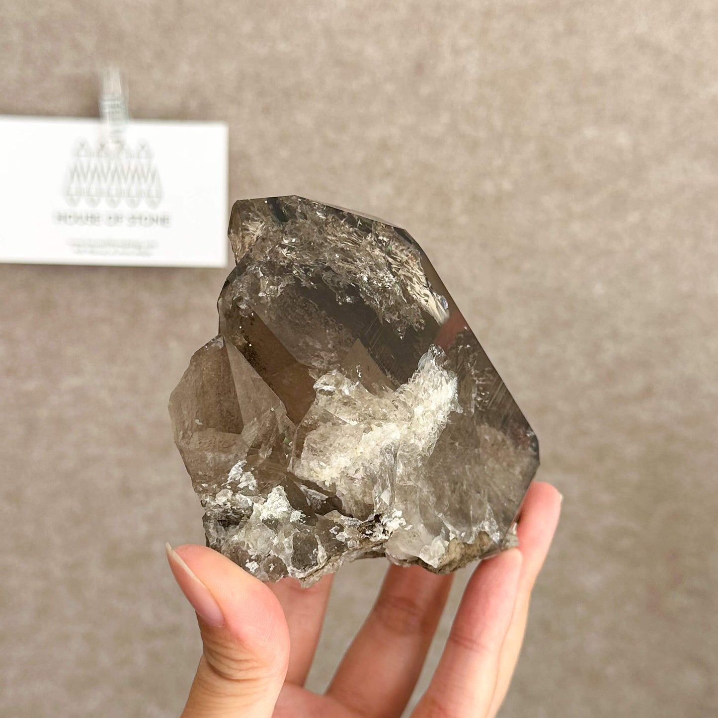 Apls Faden Quartz Specimen/Alpine Mineral Smoky Quartz/Adularia Quartz Chlorite Cluster/Chamonix-Mont-Blanc Mini Cluster/France