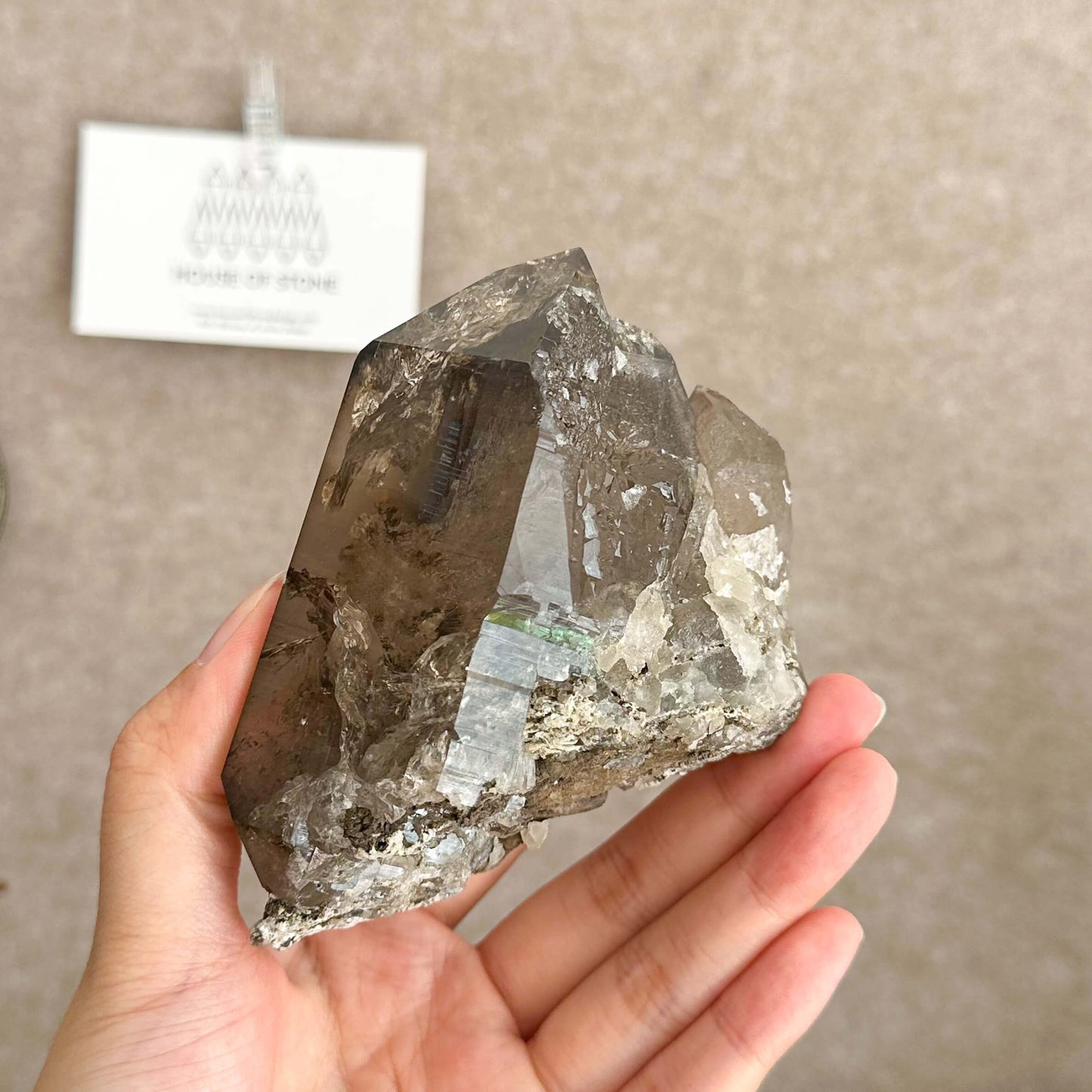 Apls Faden Quartz Specimen/Alpine Mineral Smoky Quartz/Adularia Quartz Chlorite Cluster/Chamonix-Mont-Blanc Mini Cluster/France