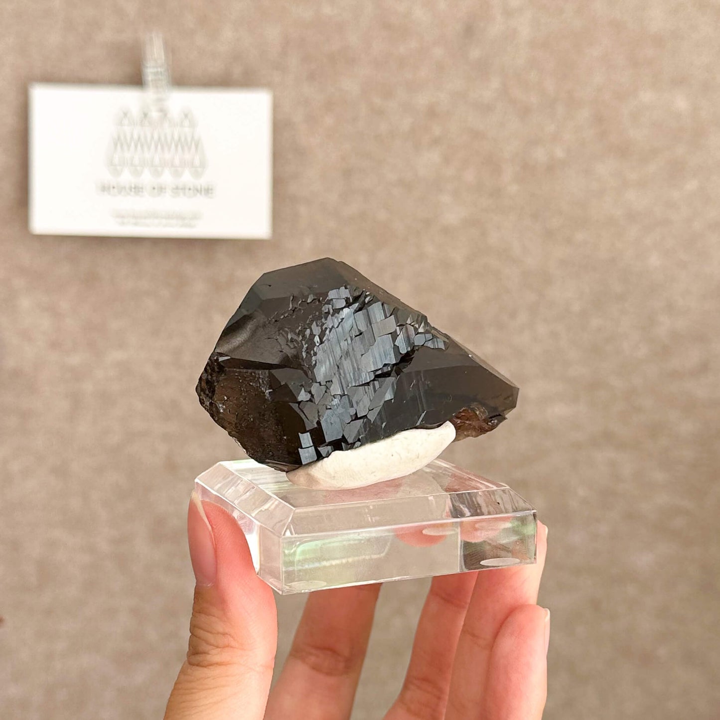 Alpine Mineral Swiss Gwindel Dark Smoky Quartz Specimen/Switzerland Morion Gwindel Apls