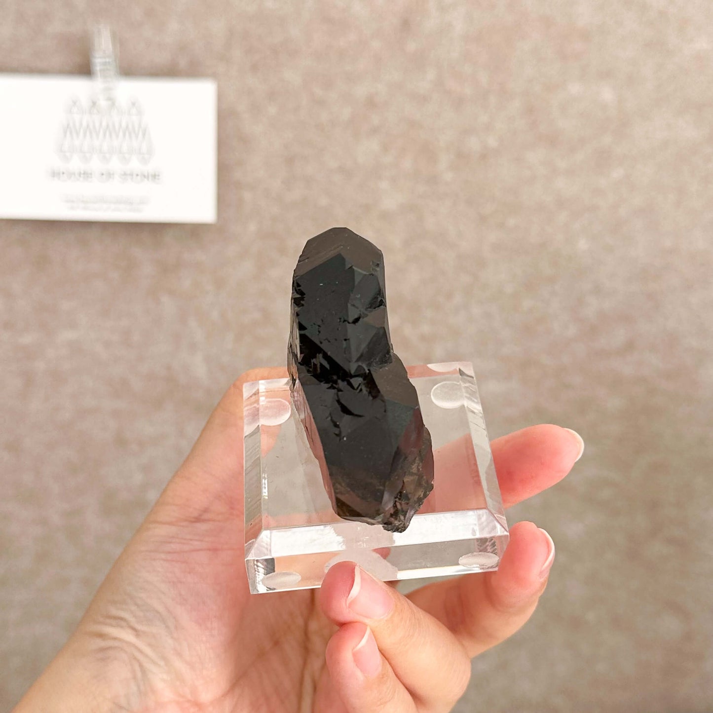 Alpine Mineral Swiss Gwindel Dark Smoky Quartz Specimen/Switzerland Morion Gwindel Apls