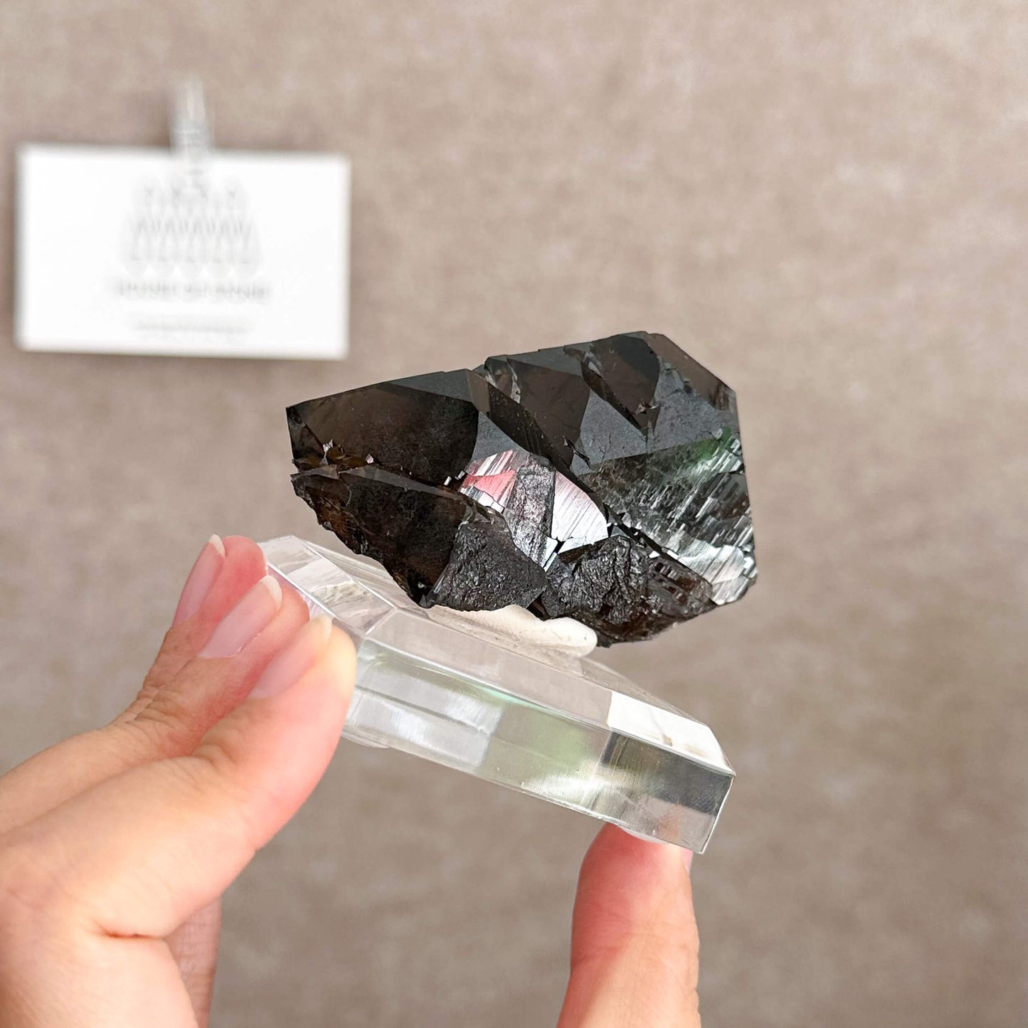 Alpine Mineral Swiss Gwindel Dark Smoky Quartz Specimen/Switzerland Morion Gwindel Apls