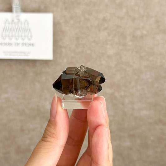 Alpine Mineral Mini Swiss Faden Smoky Quartz Specimen/Switzerland Faden Quartz Apls