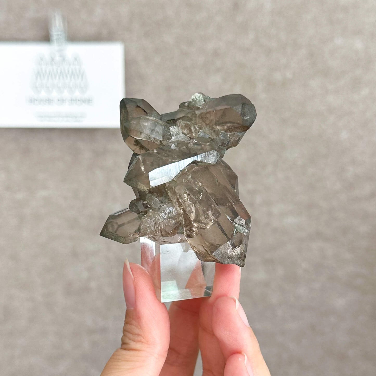 Alpine Mineral Small Swiss Faden Smoky Quartz Specimen/Switzerland Faden Quartz Apls