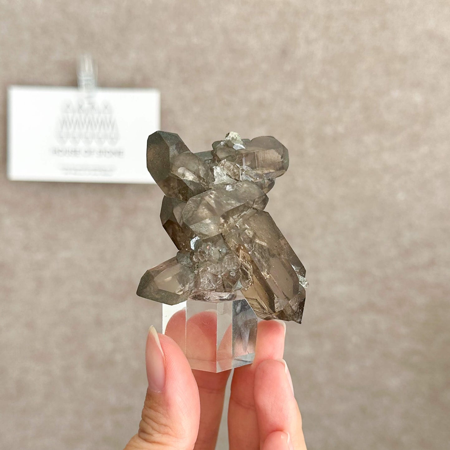 Alpine Mineral Small Swiss Faden Smoky Quartz Specimen/Switzerland Faden Quartz Apls