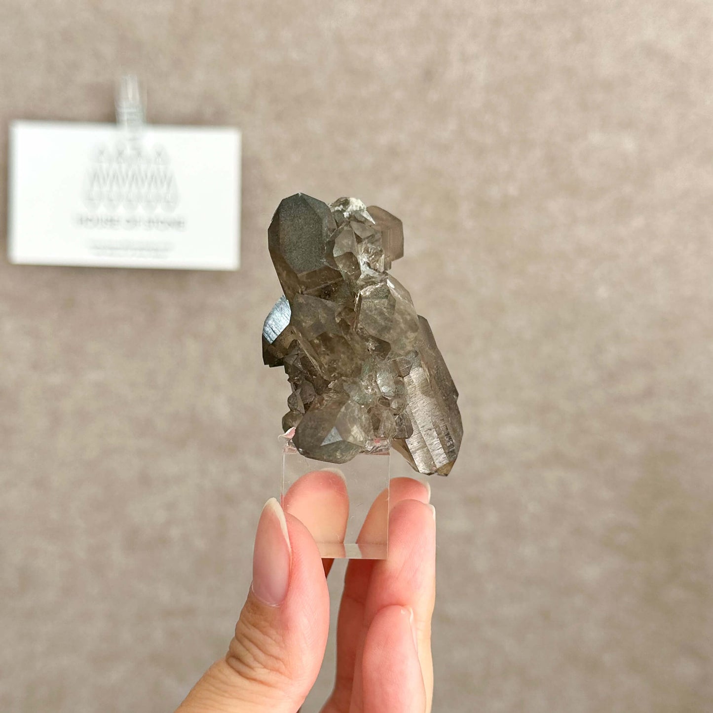 Alpine Mineral Small Swiss Faden Smoky Quartz Specimen/Switzerland Faden Quartz Apls